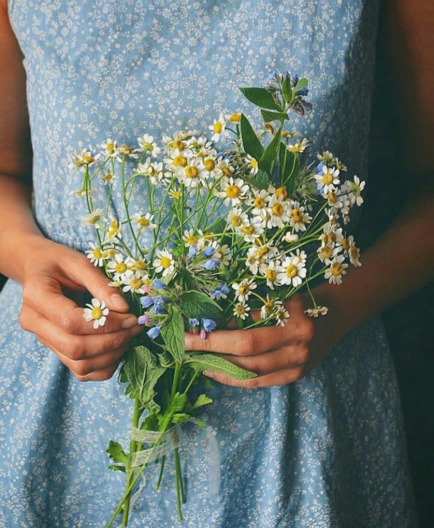 Букетик полевых цветов в руке