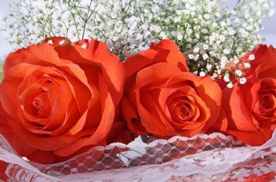 Красивые розы для красивой женщины картинки. Самые красивые цветы для женщины. Красивые розы. Открытки с розами. Прекрасные цветы для прекрасной женщины.