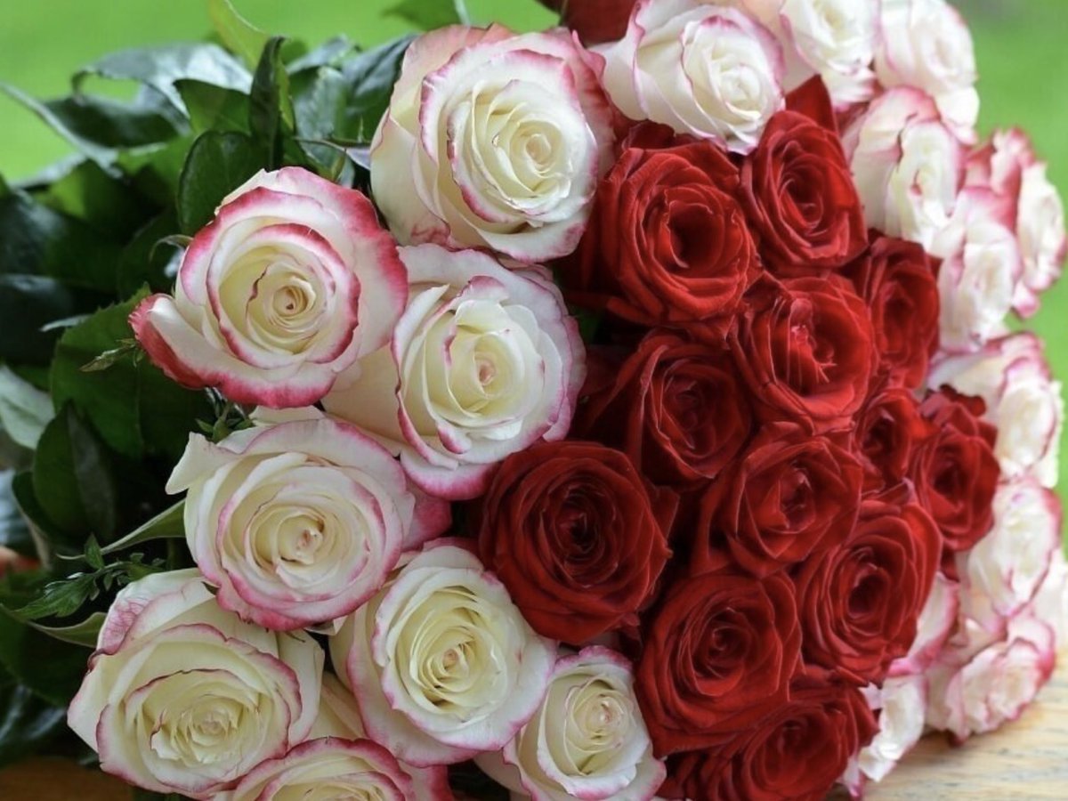 Букет роскошных розовых роз живые