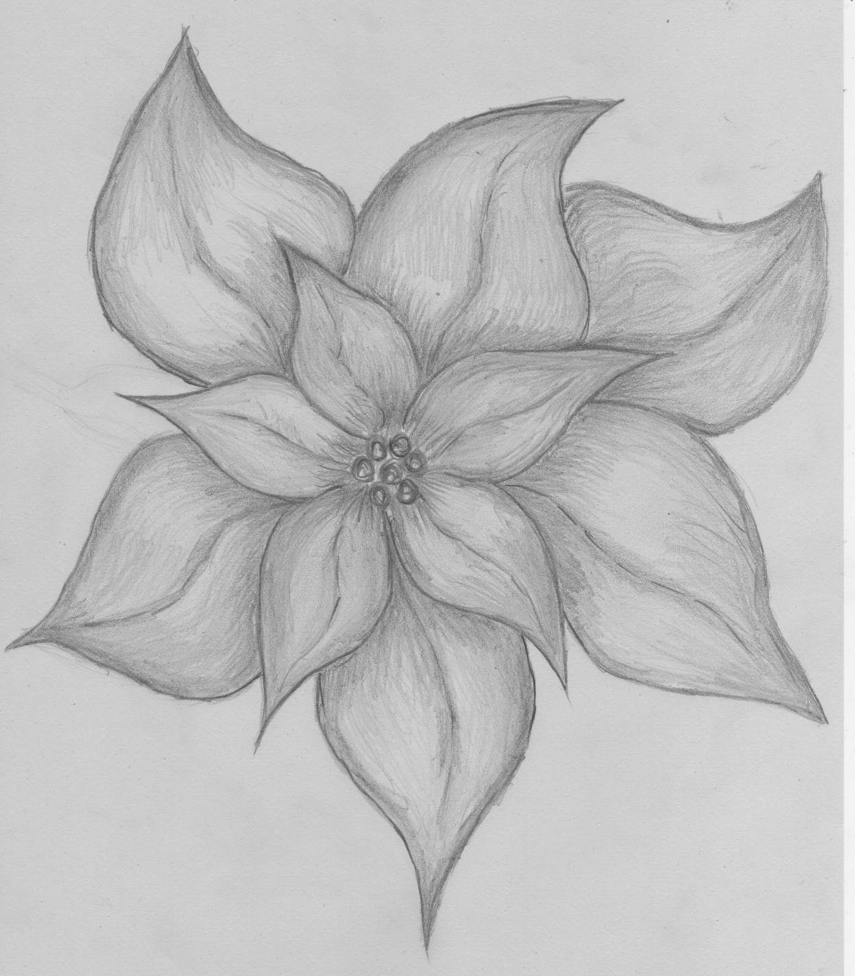 Рисунок цветов простым карандашом. Цветы карандашом. Рисунки цветов карандашом. Цветы простым карандашом. Рисунки для срисовки цветы.
