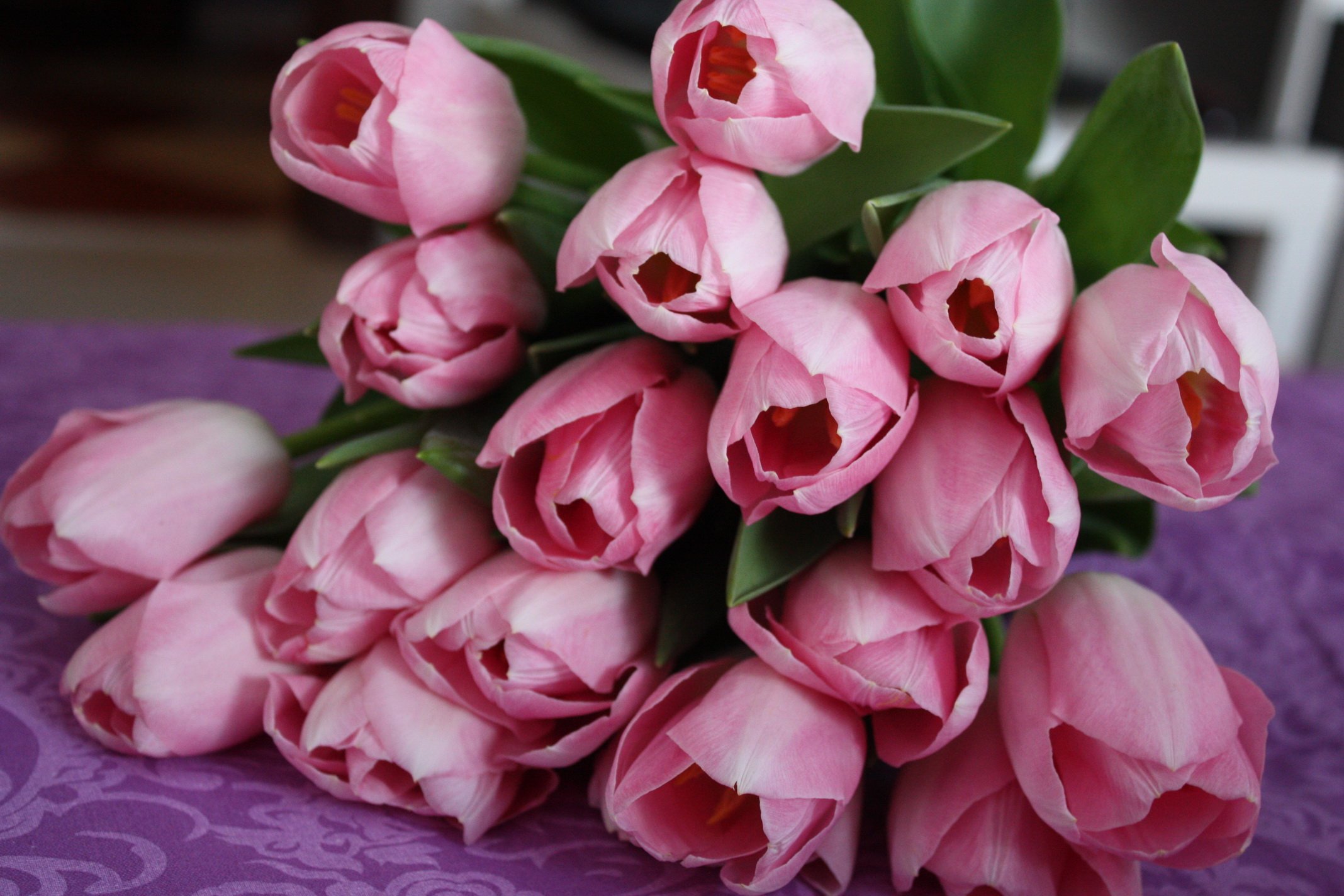 Букет розовых тюльпанов фото. Розы и тюльпаны. Rosa Tulipa. Розовые тюльпаны.