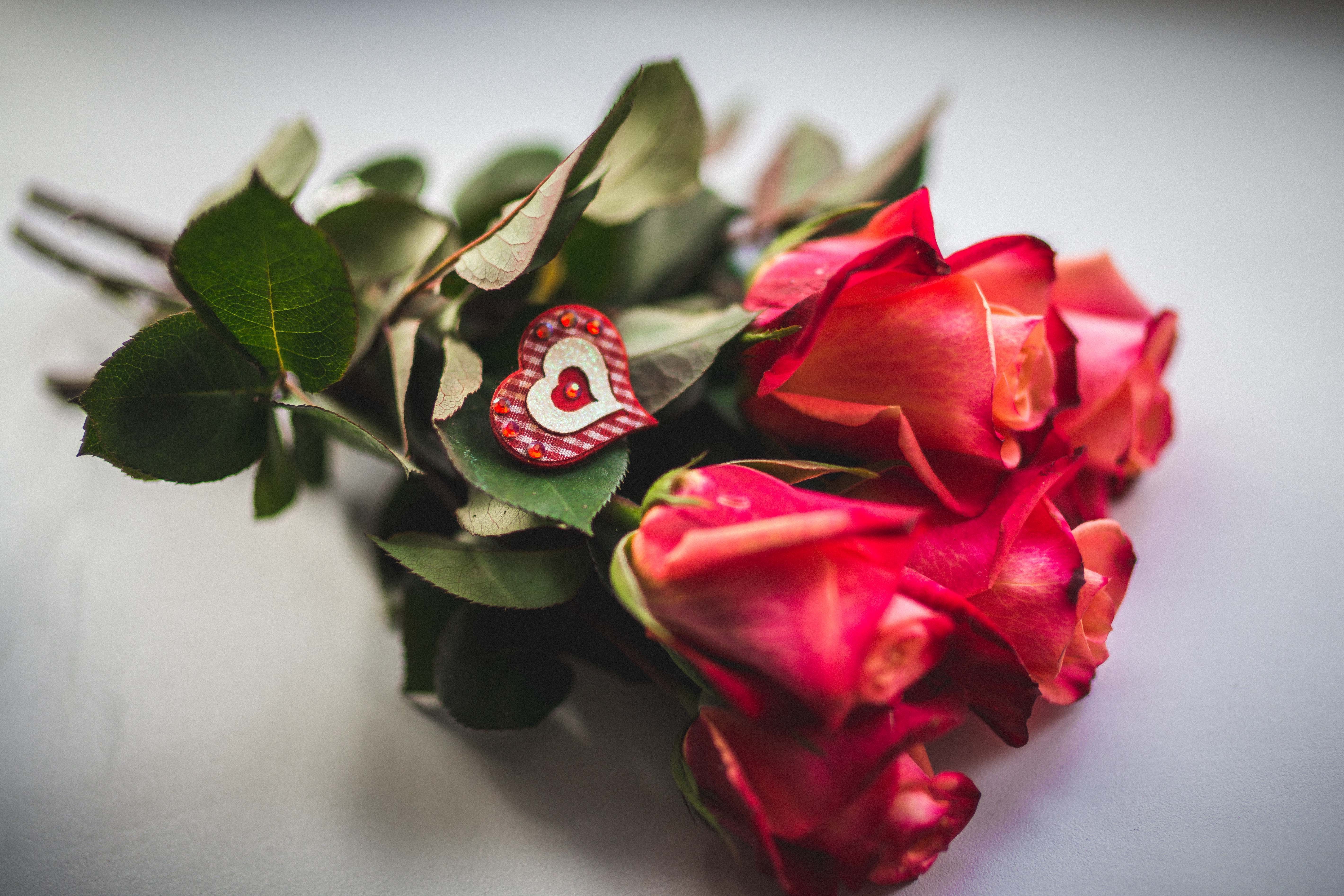 Розочки любимые. Красивые розы. Букет роз. Красивый букет роз. Цветы для любимой.