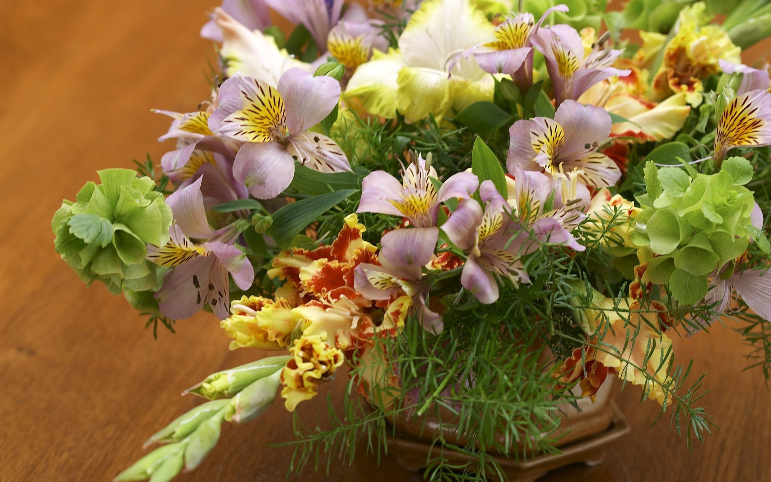 Поздравления с живыми цветами. Гладиолус цветок. Фрезия нарциссы. Цветы в букете альстромерия.