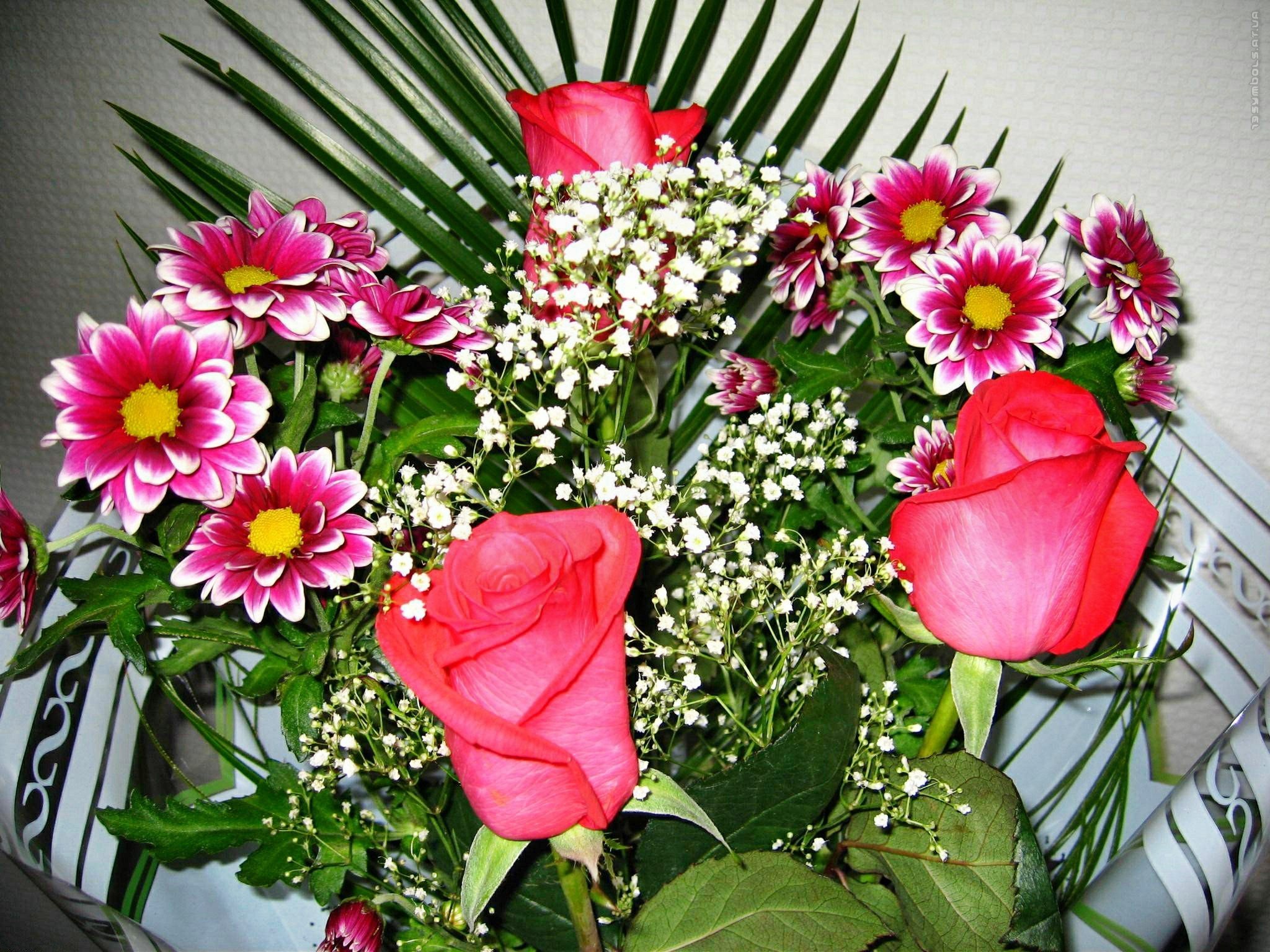 Прекрасные цветы для прекрасной женщины фото