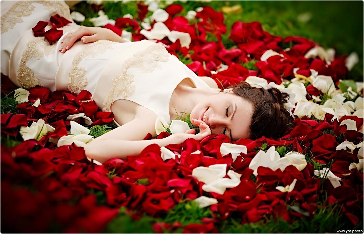 спящая роза фото
