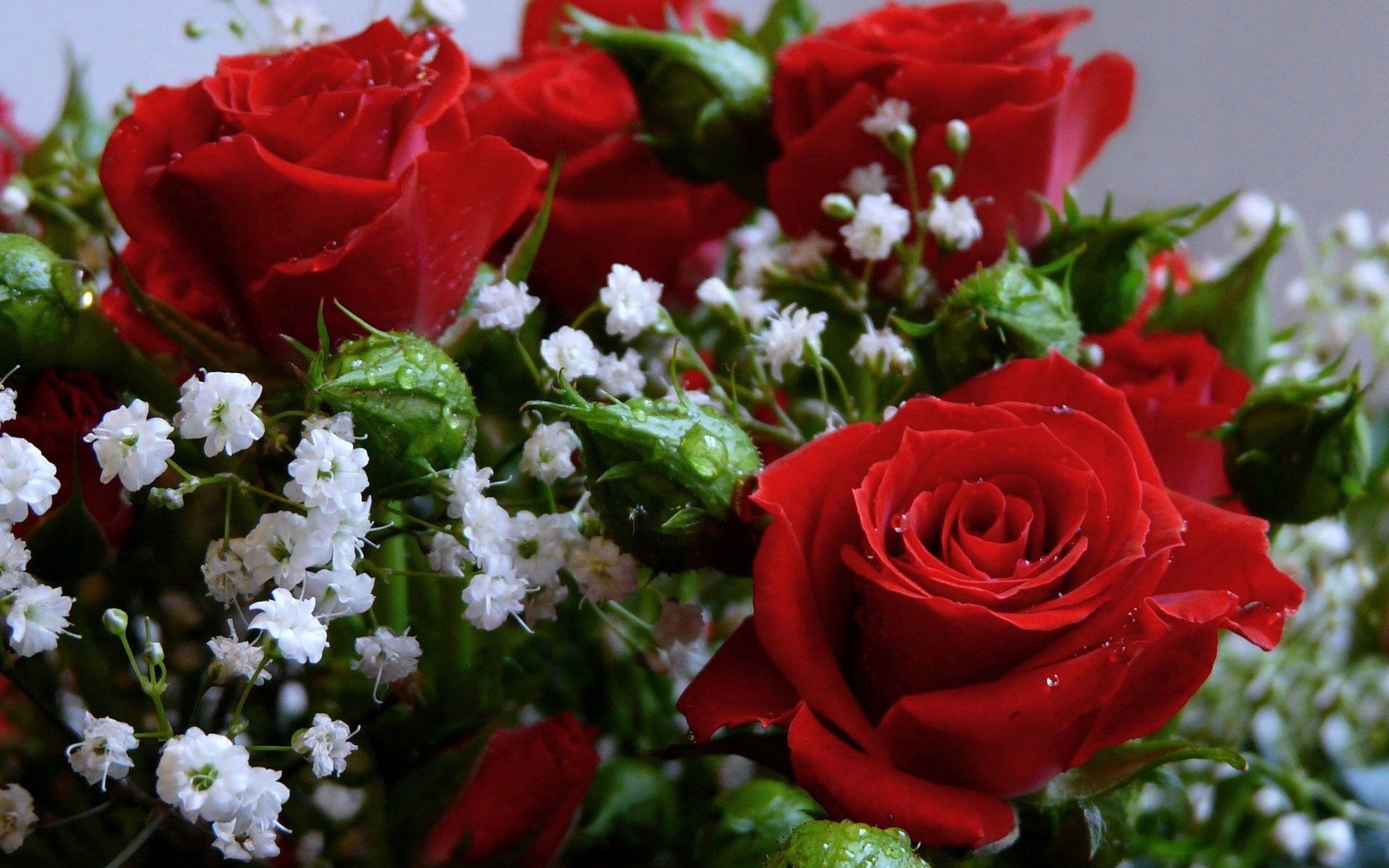 Розы красивое видео. Красивый букет цветов. Шикарные цветы. Красивые картинки с цветами. Красивые живые цветы.