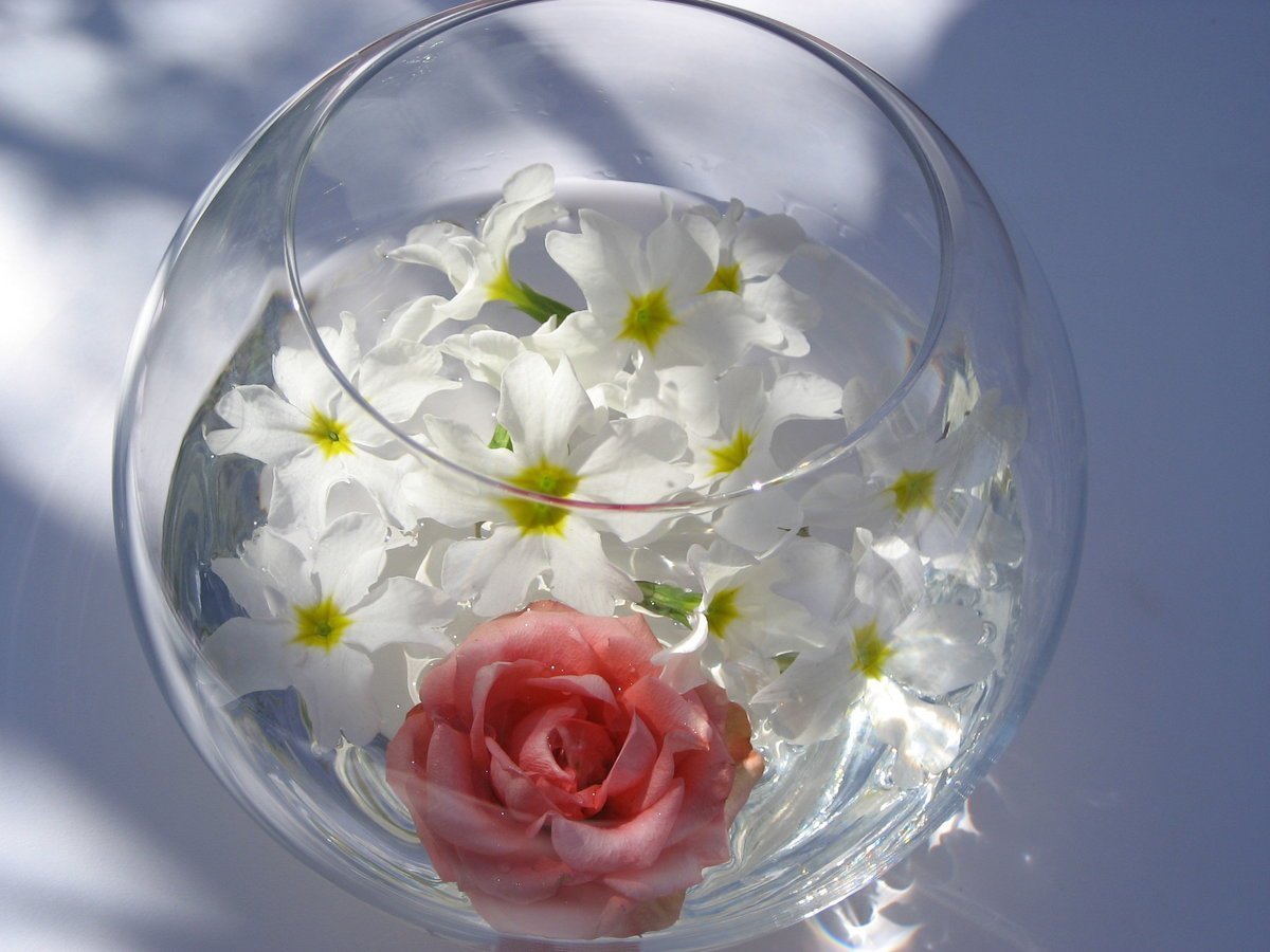 Как менять воду в розах вазе. Цветы в прозрачной вазе. Красивые цветы в вазах. Букет цветов в стеклянной вазе. Цветы в круглой вазе.