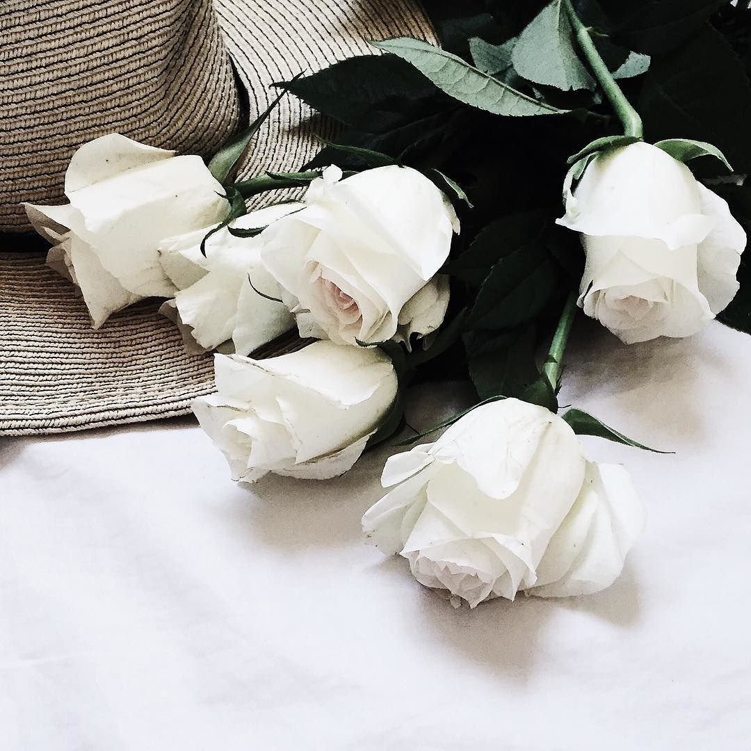 Сон белые розы букет. Красивые белые розы. Белые розы на кровати. Букет белых цветов. Красивый букет роз на кровати.