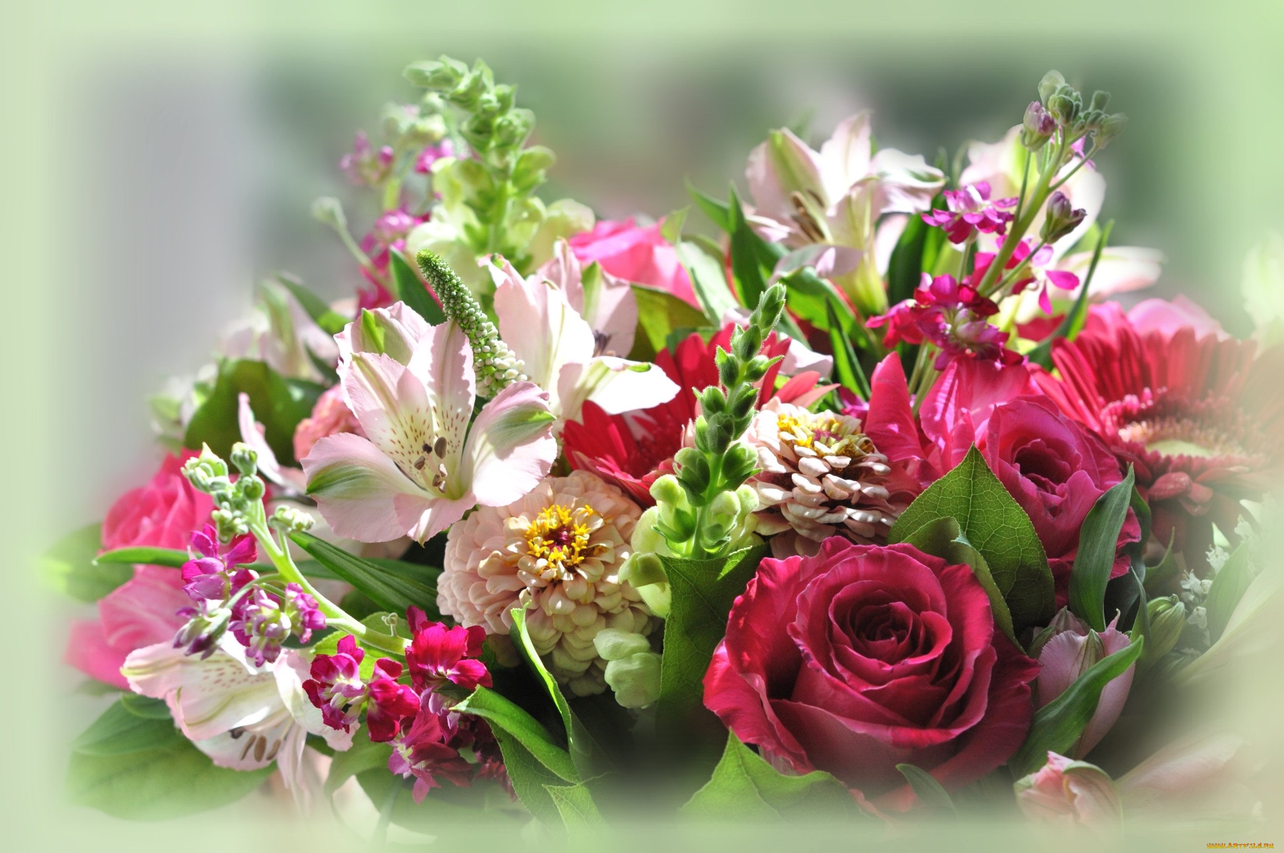 Красивые цветы с днем рождения фото с пожеланиями