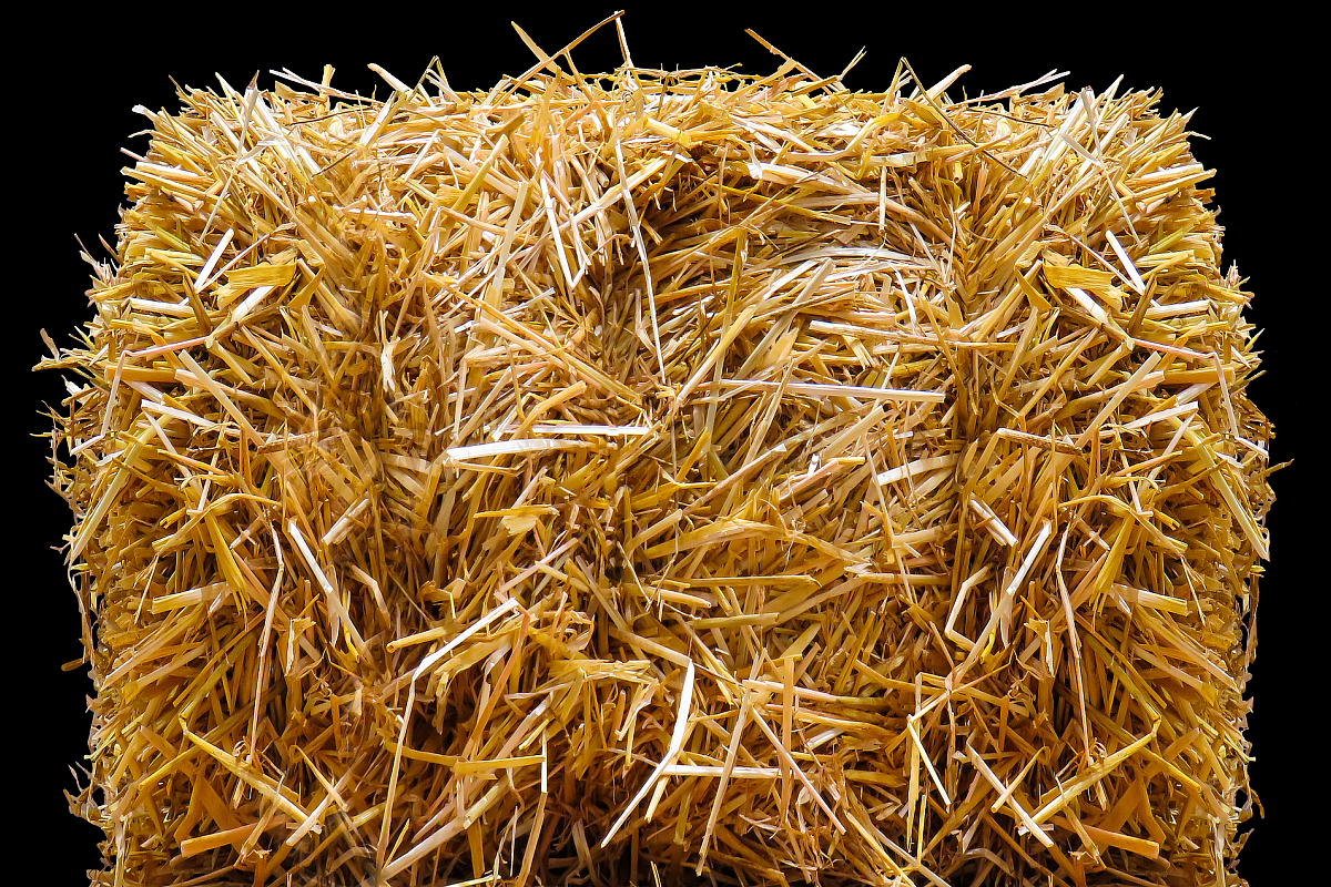 Эффект сена. Солома пшеничная тюк (10-12 кг). Ячменная солома. Солома пшеничная тюк (20 кг). Солома для детей.