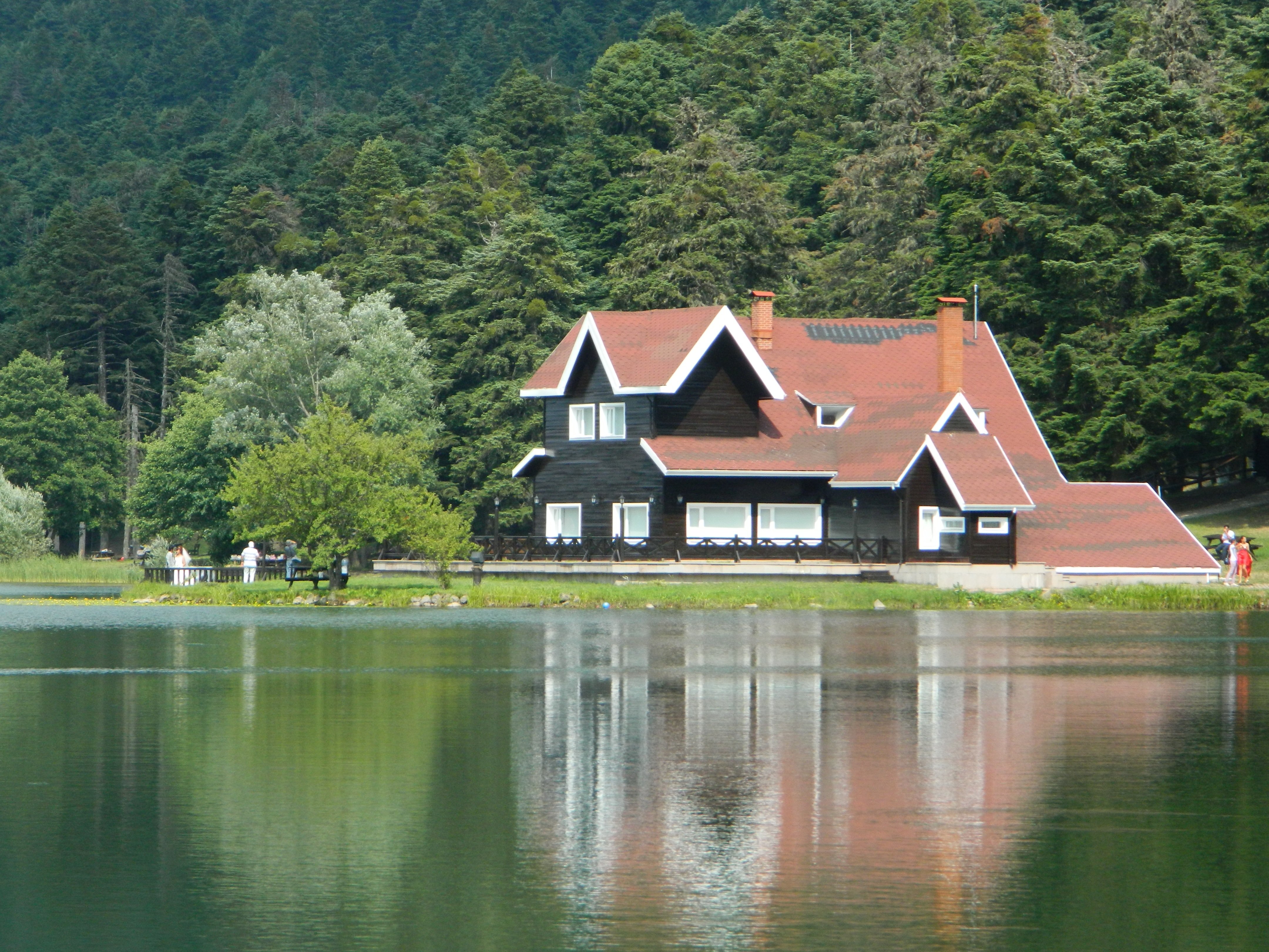 «Дом у озера Ванзее» (1925