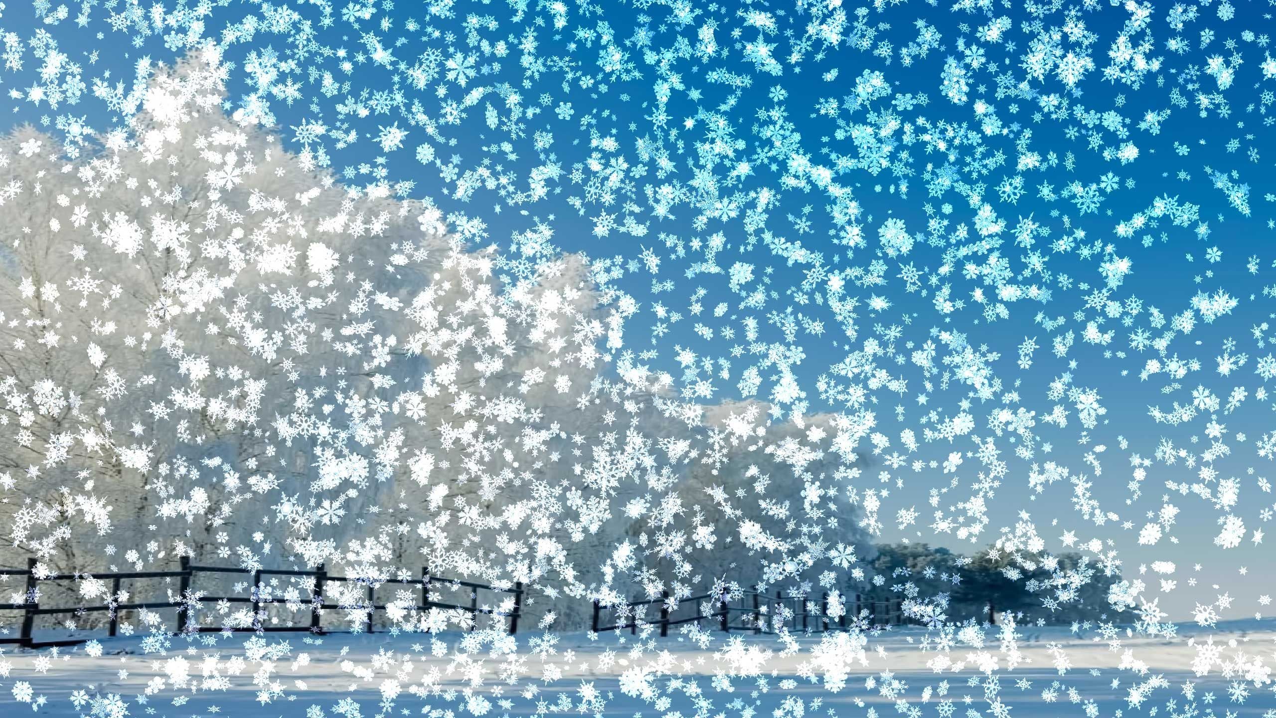 Синяя метель. Падающий снег. Хлопья снега. Снег идет. Снежинки падают.