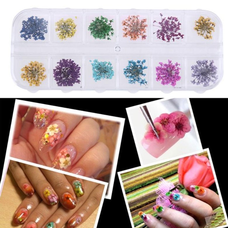 Ногти с сухоцветами 2024. Декор сухоцветы для маникюра. Сухоцветы на ногтях. Маникюр с сухоцветами. Наклейки для ногтей «цветы».