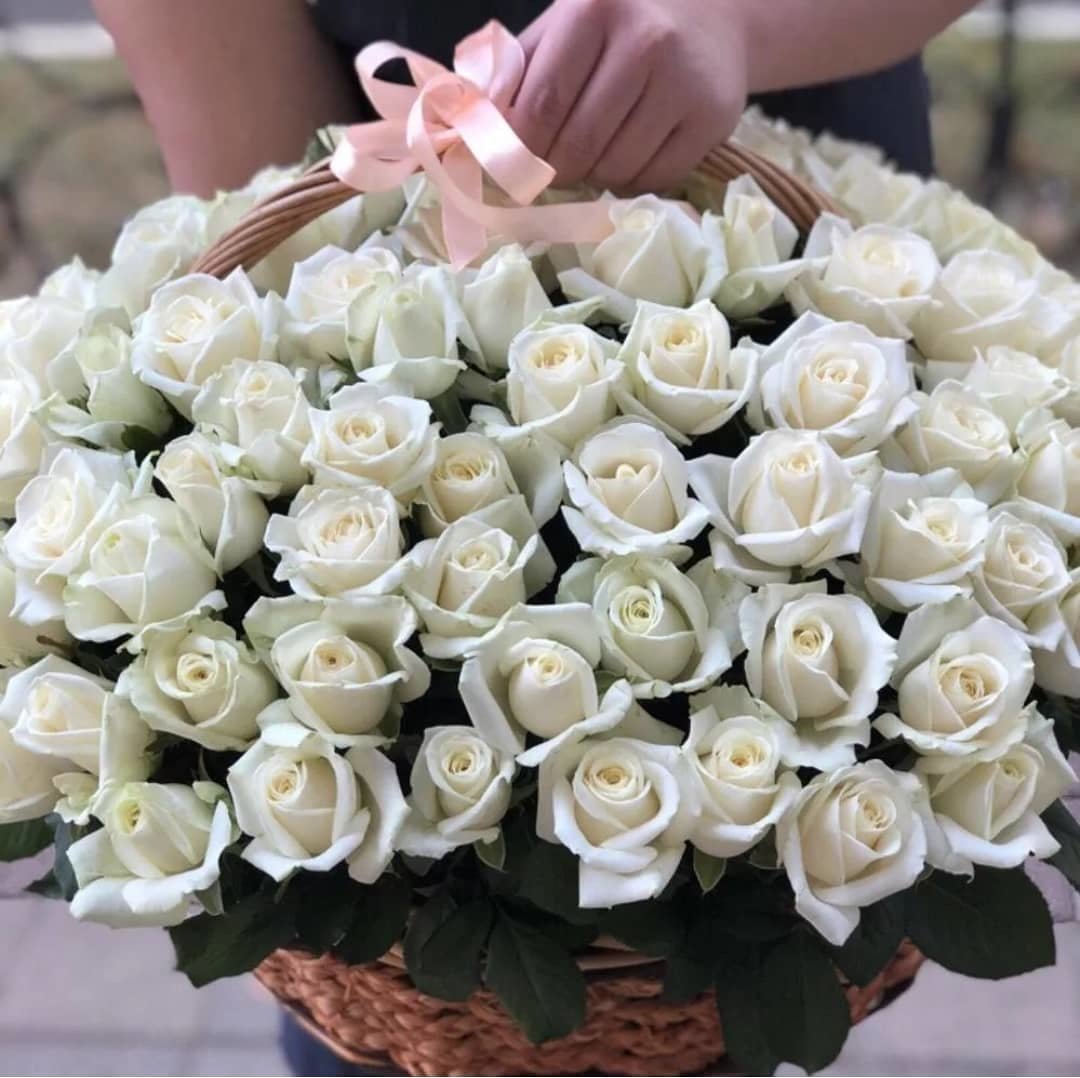 Белые розы в руках. Букет белых роз. Огромный букет белых роз. Красивый белый букет. Букет роз огромный.