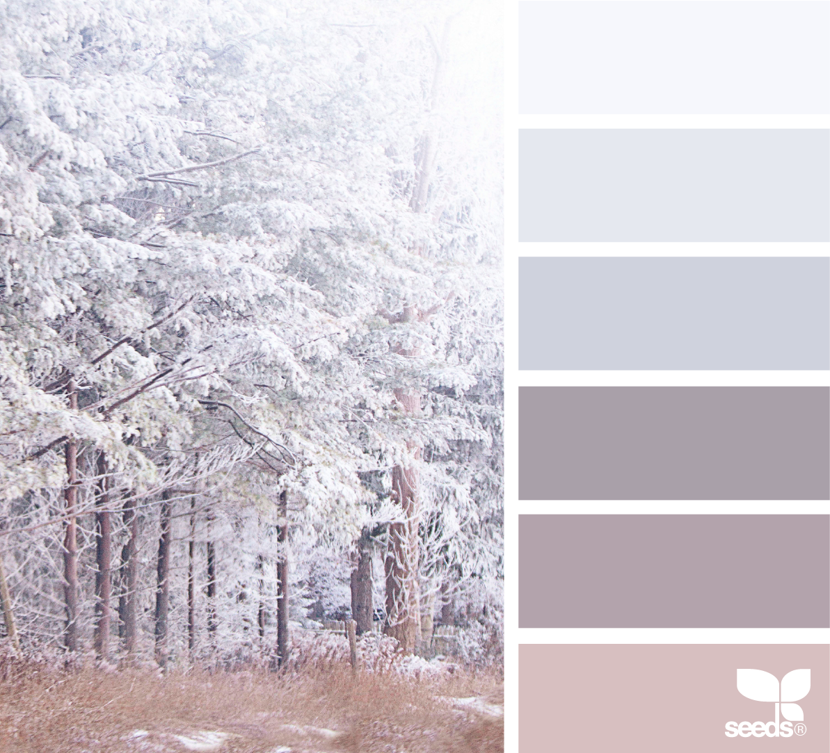 Теплый серый и холодный серый. Зимняя палитра цветов. Зимняя гамма цветов. Зимние сочетания цветов. Пейзаж цветовая палитра.