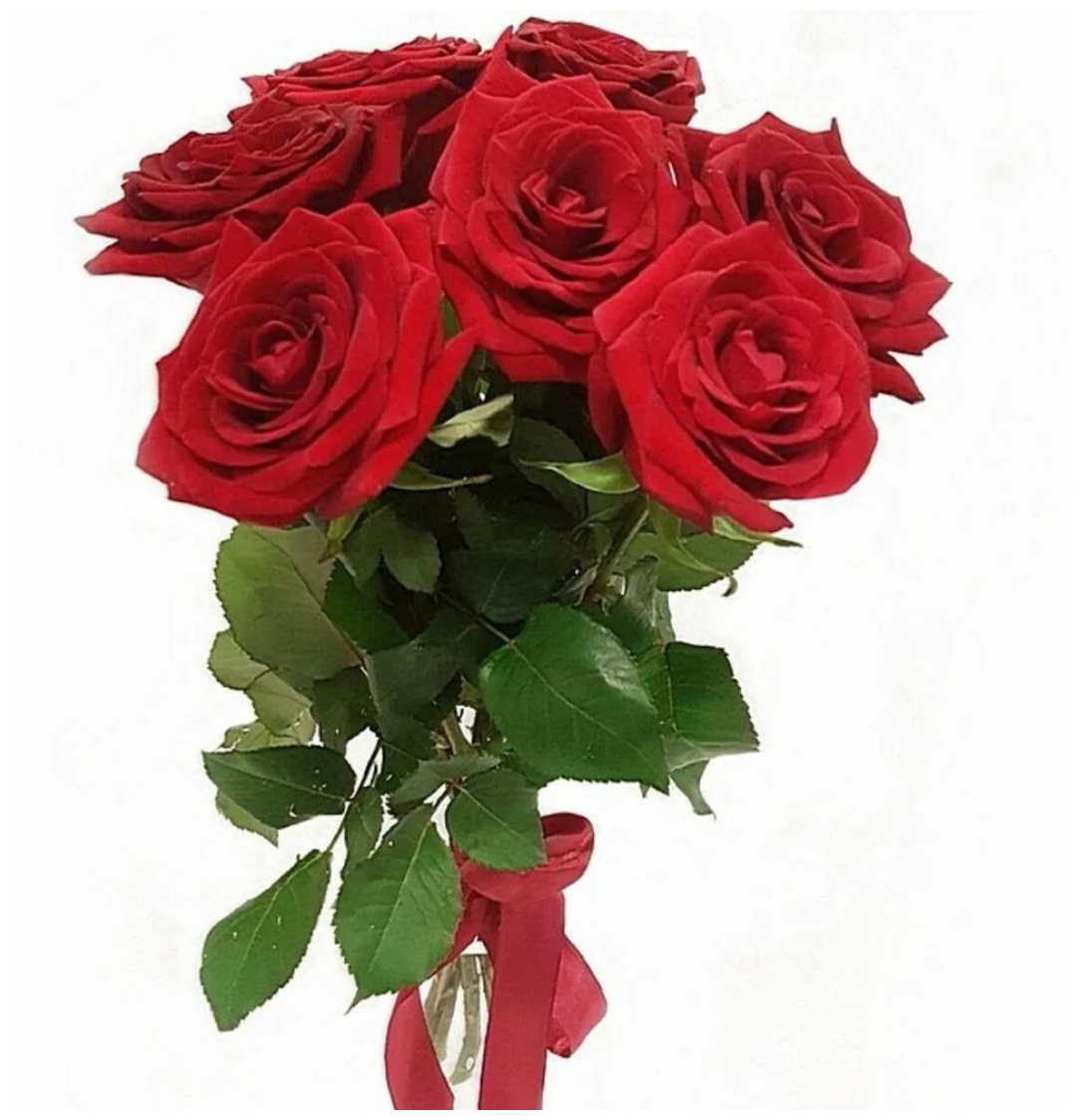 Девять роз. 7 Эквадорских роз. Букет "7 красных роз".