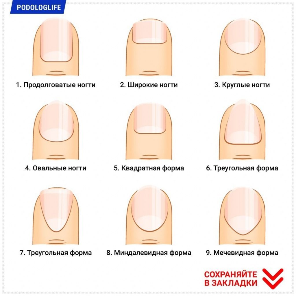 Какой формы бывают обычно. Формы ногтей. Форма ногтей для маникюра. Название всех форм ногтей. Кругло квадратная форма ногтей.