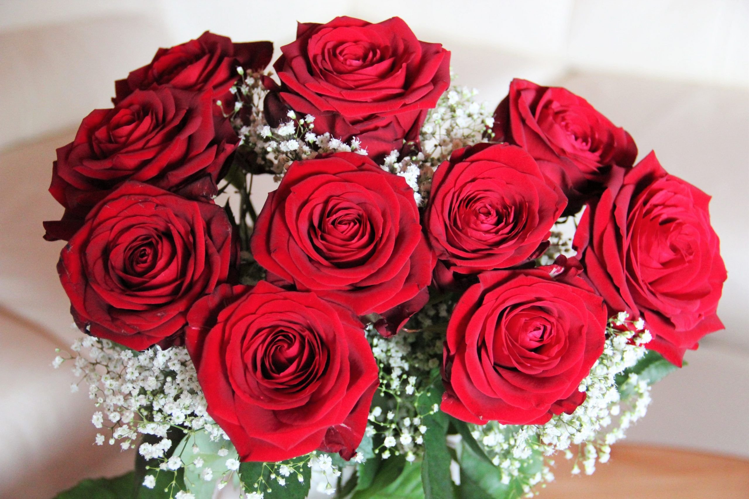 Видео маме цветы. Цахикнер Цахикнер. Шикарные цветы. Красивый букет цветов. Шикарный букет роз.