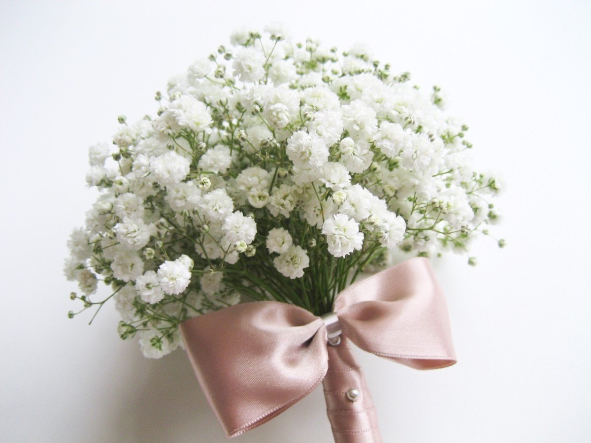 Бело розовая гипсофила. Букет невесты гипсофилы и хризантемы. Гвоздика гипсофила матрикария. Мирабелла цветок гипсофила.