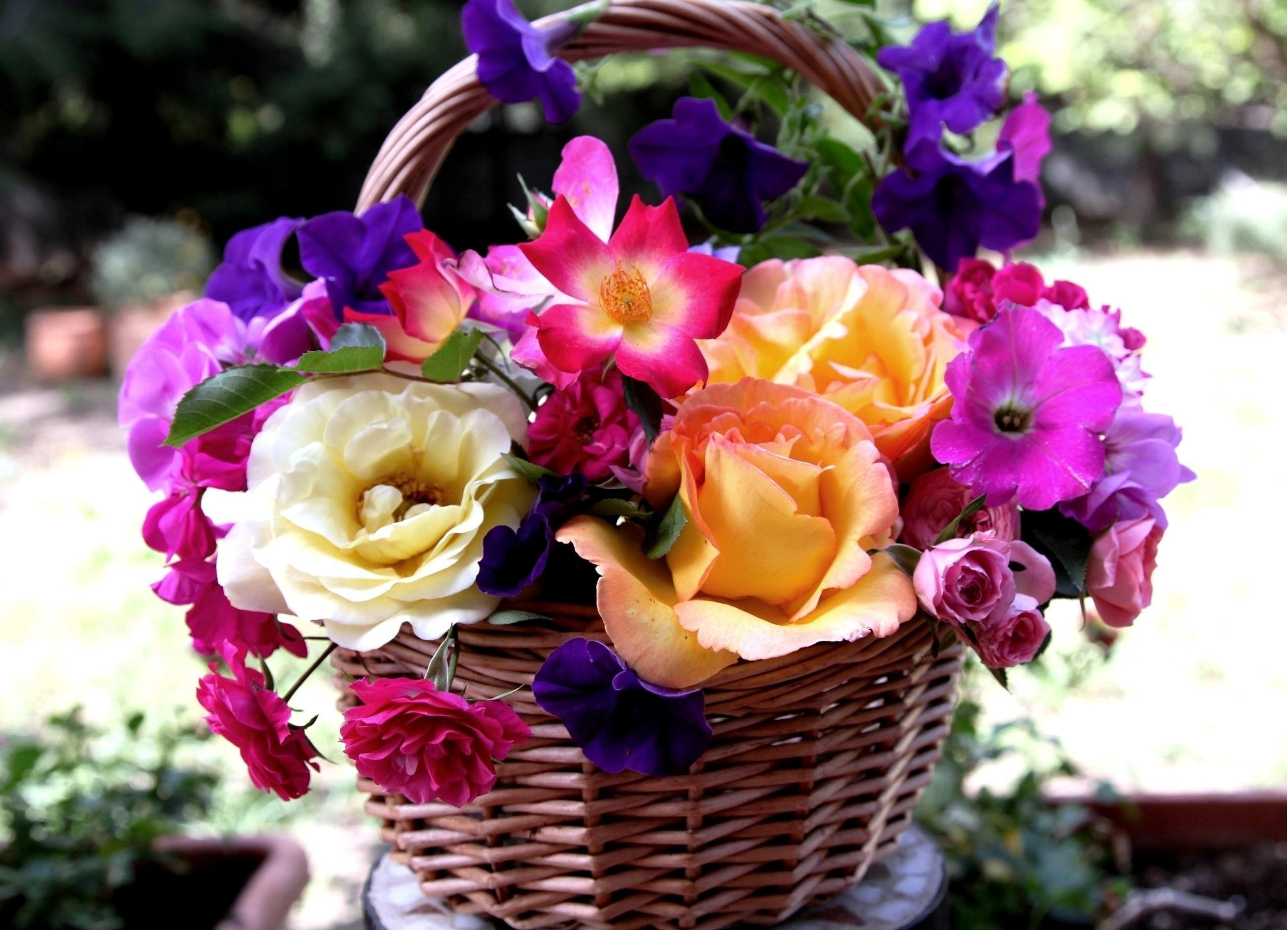 Сами красивая цвети. Красивый букет цветов. Шикарные цветы. Красивый яркий букет. Цветы букеты шикарные.