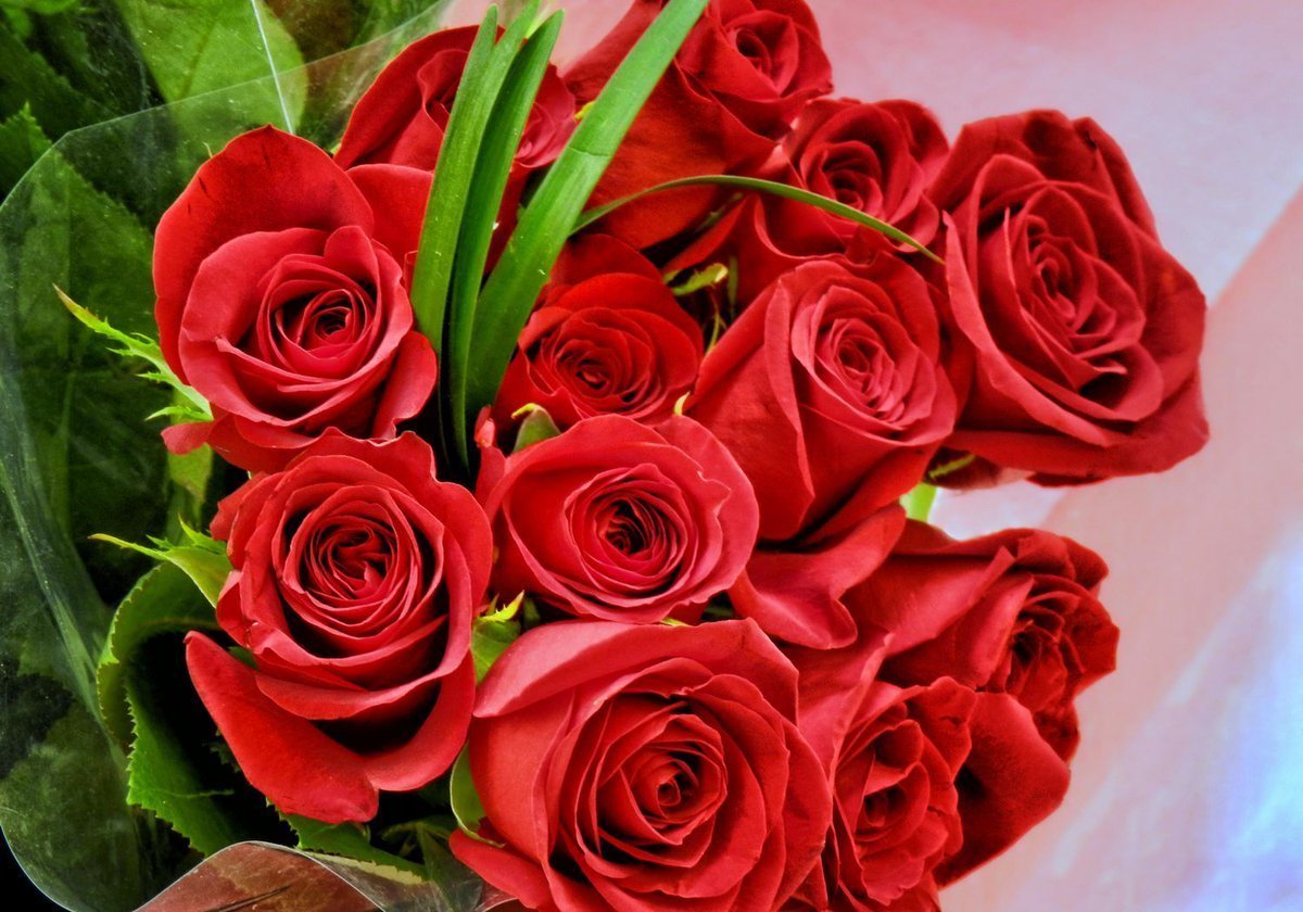 Красивые розы для красивой женщины картинки. Роскошные цветы. Шикарные цветы. Шикарный букет роз.