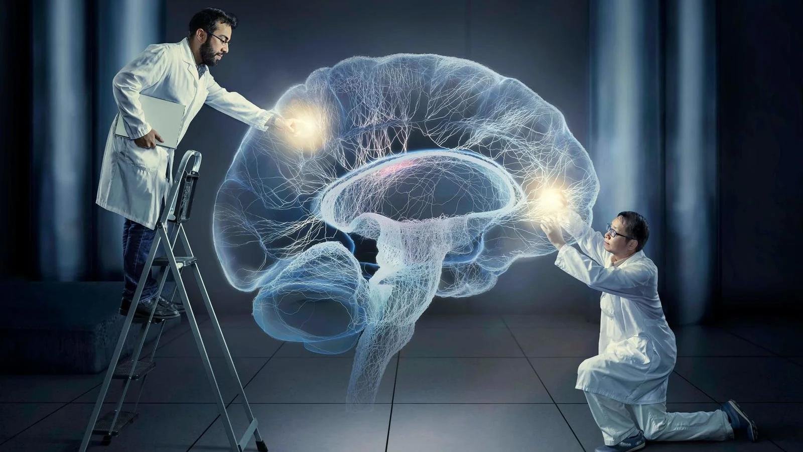 Ученые изучающие мозг. Сознание человека. Подсознание человека. Заглянуть в мозг. Человеческий разум.