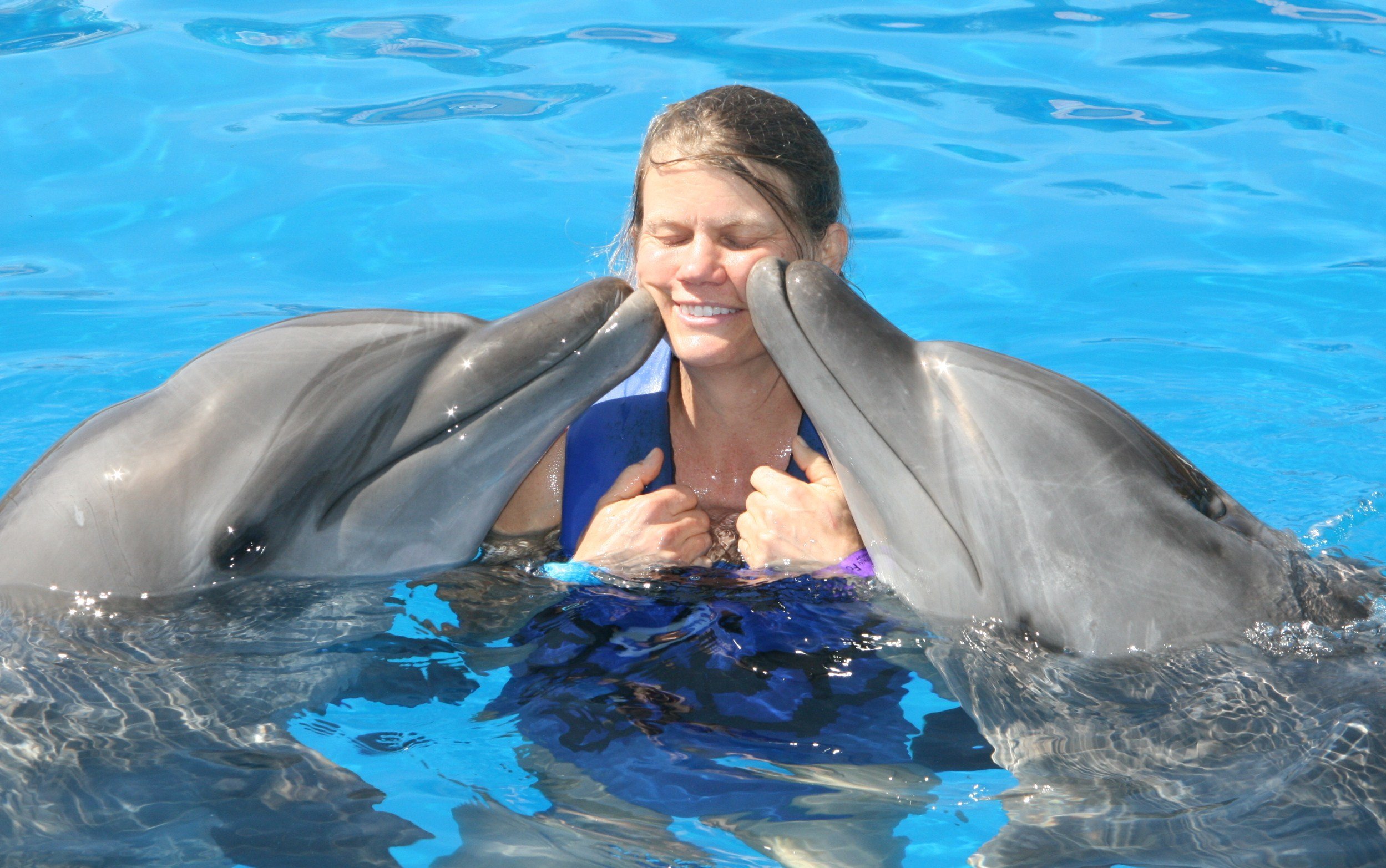 Люди дельфины песня. Дельфины и люди. Человек Дельфин. Фотосессия с дельфинами. Дельфины дружелюбные.