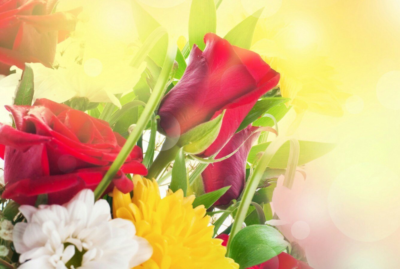 Поздравление с праздником цветов. Открытки с цветами. Фон для поздравительной открытки. Фон цветы. Поздравляю! (Цветок).