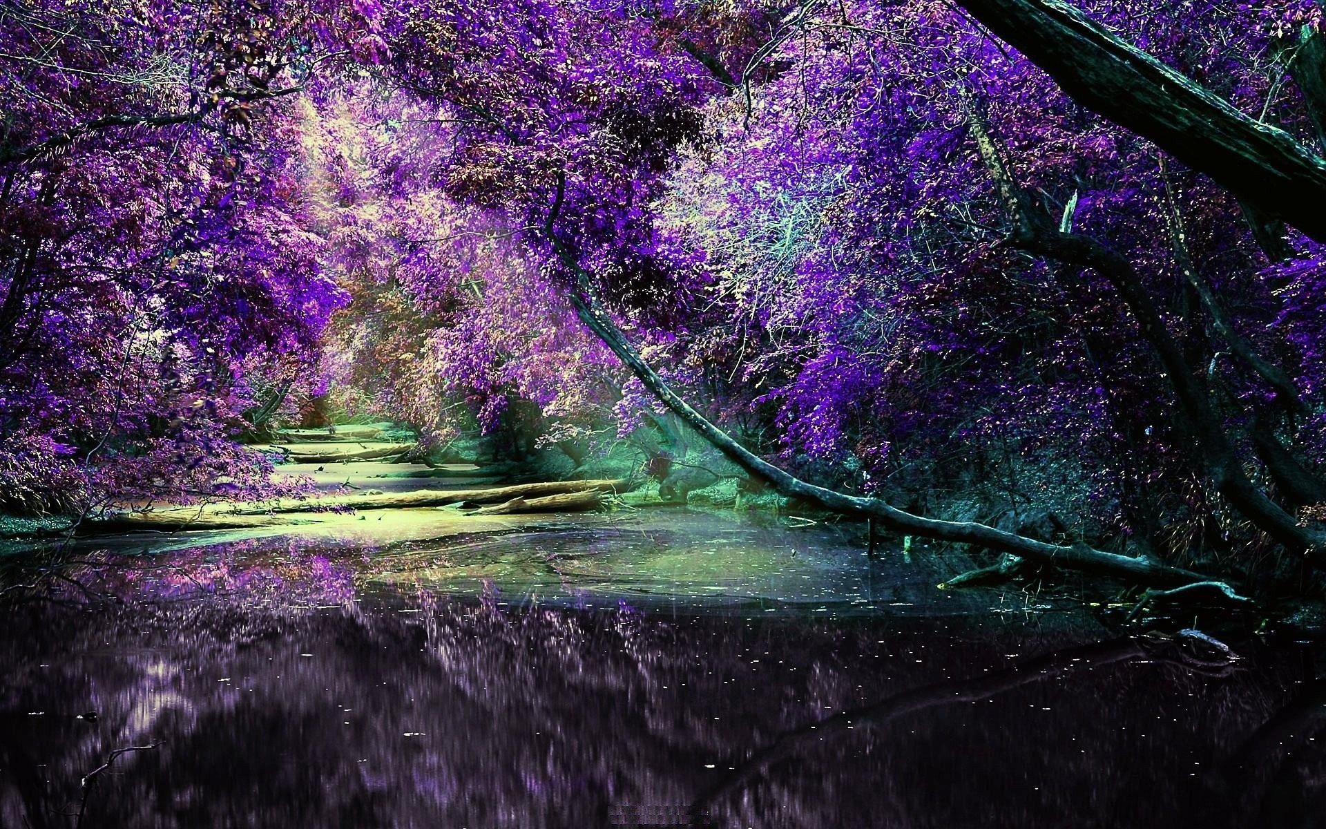 Фиолетовый сад