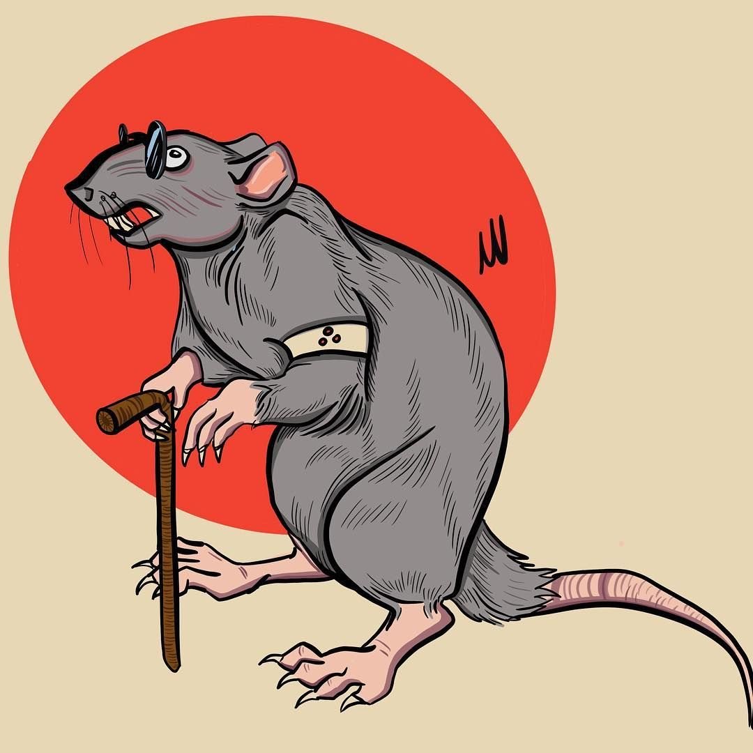 Мышь качок. Крыса арт. Крыса рисунок. Крыса эскиз. Тату крыса эскиз.