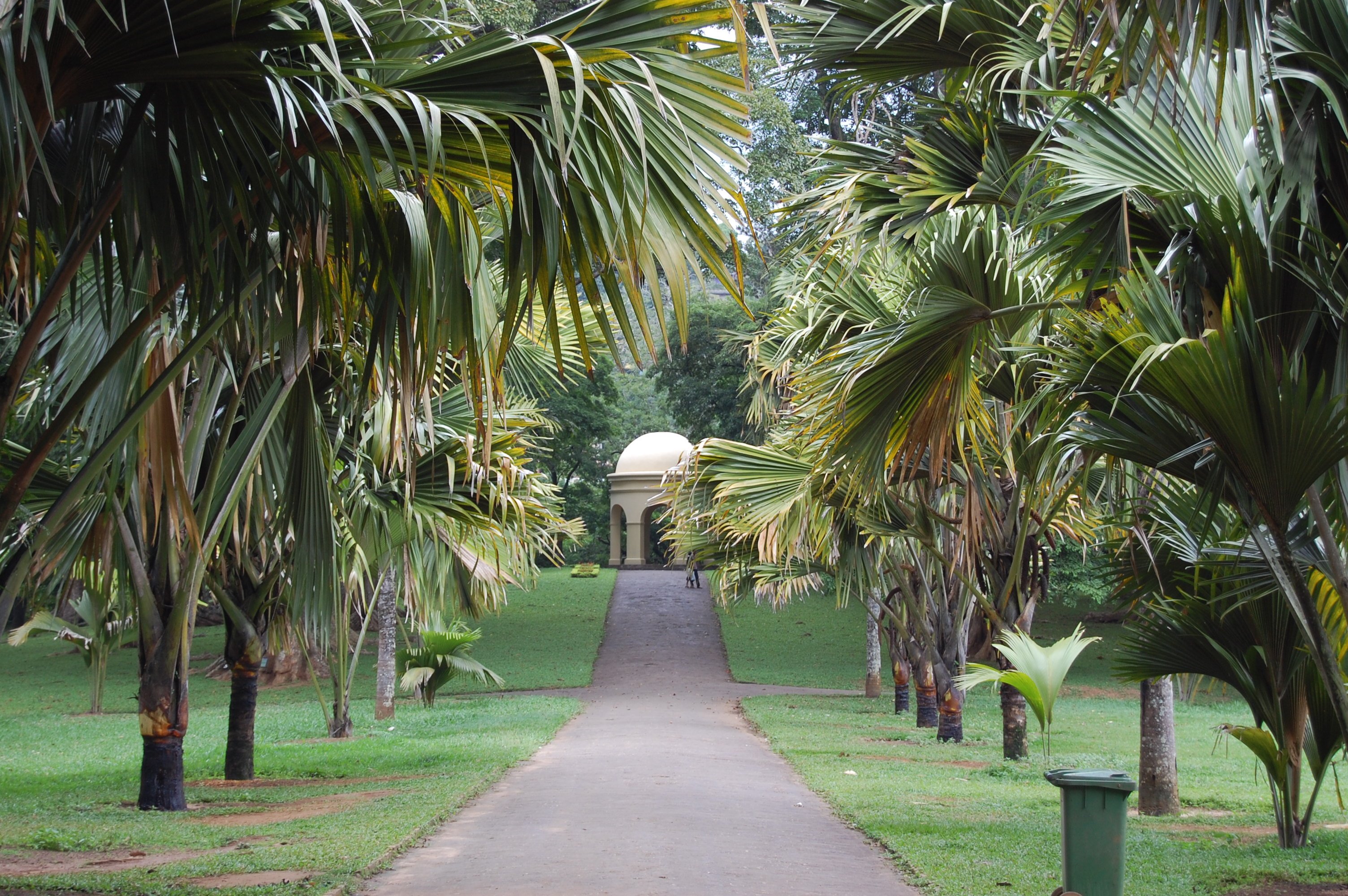 Сад Перадения Шри Ланка