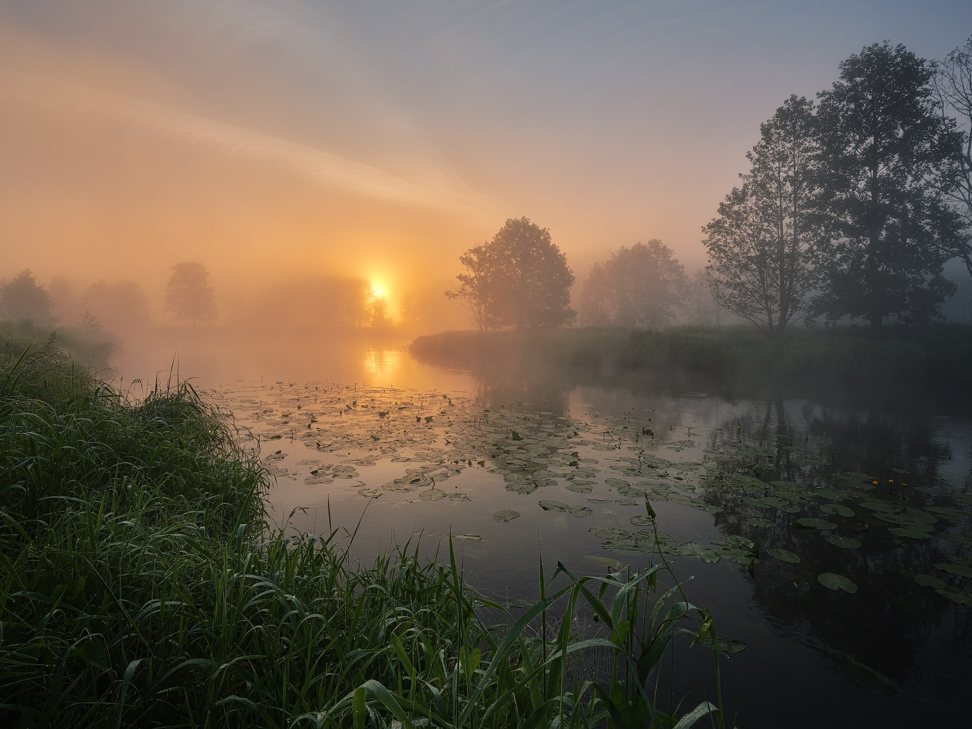 Раннее утро на природе. Турсунтский туман озеро. Утренний пейзаж деревня Герасимов. Туманное утро Фет. Туманное утро в Италии Айвазовский.