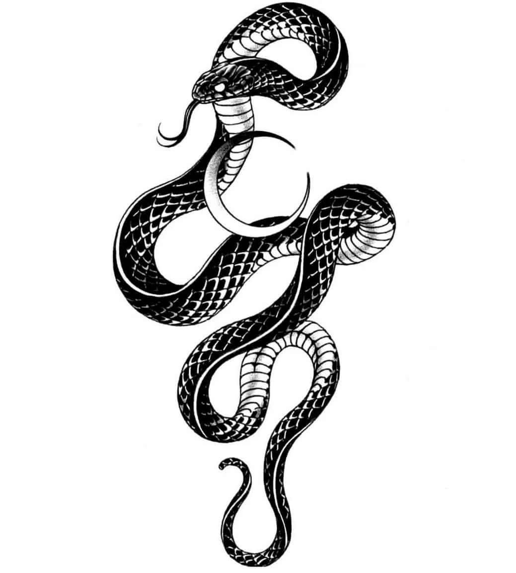 Сон змея обвивает. Змея эскиз. Эскизы татуировок змеи. Змея Татуировка эскиз. Тату эскиз Мем.