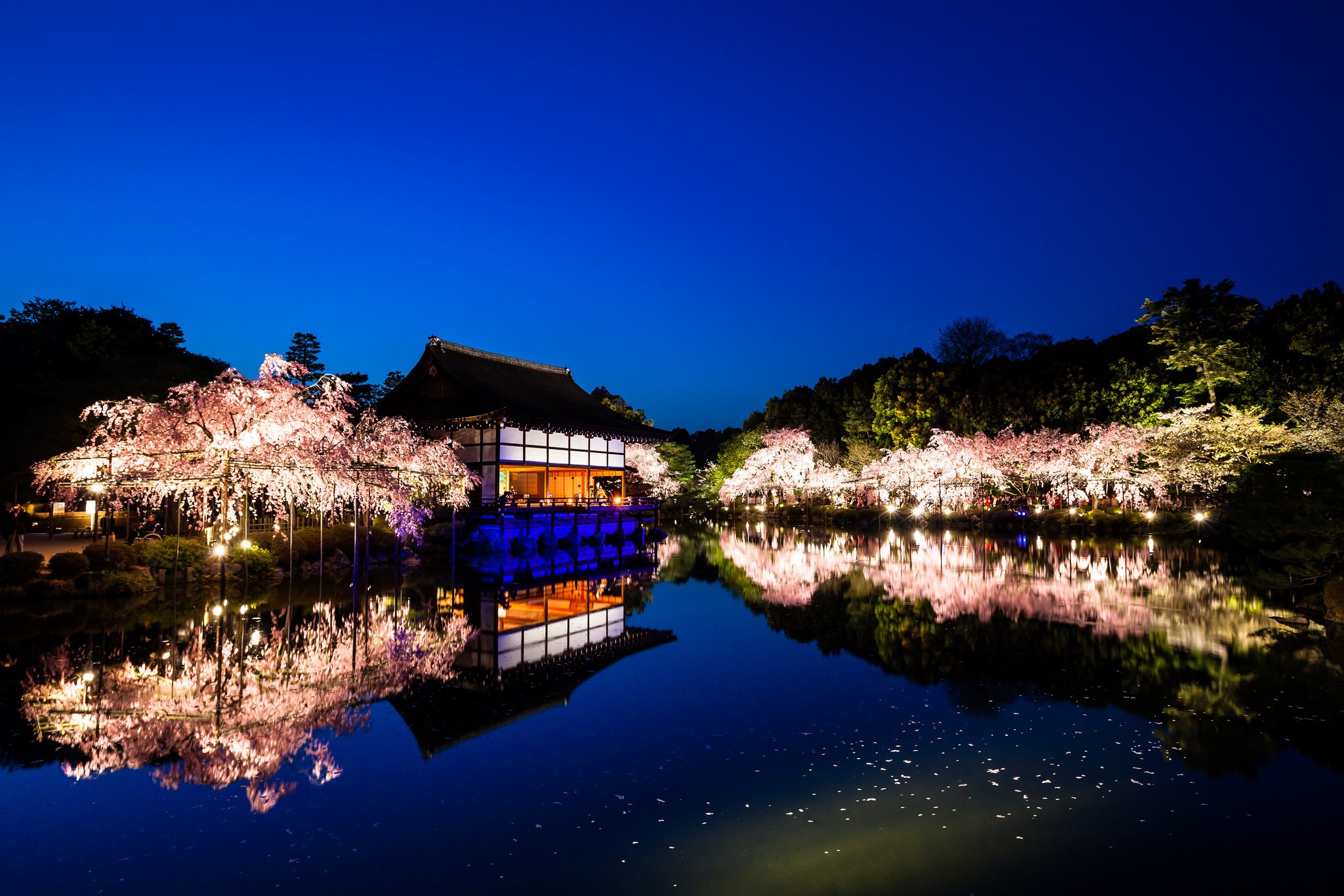 Киото япония. Хэйан Киото японский сад. Киото киëмидзо храм ночью. Япония природа префектуры Киото. Киото храм Сакура.
