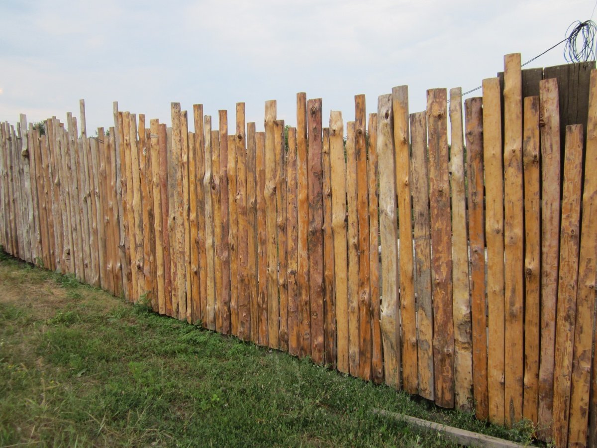 высокий деревянный забор раст фото 89