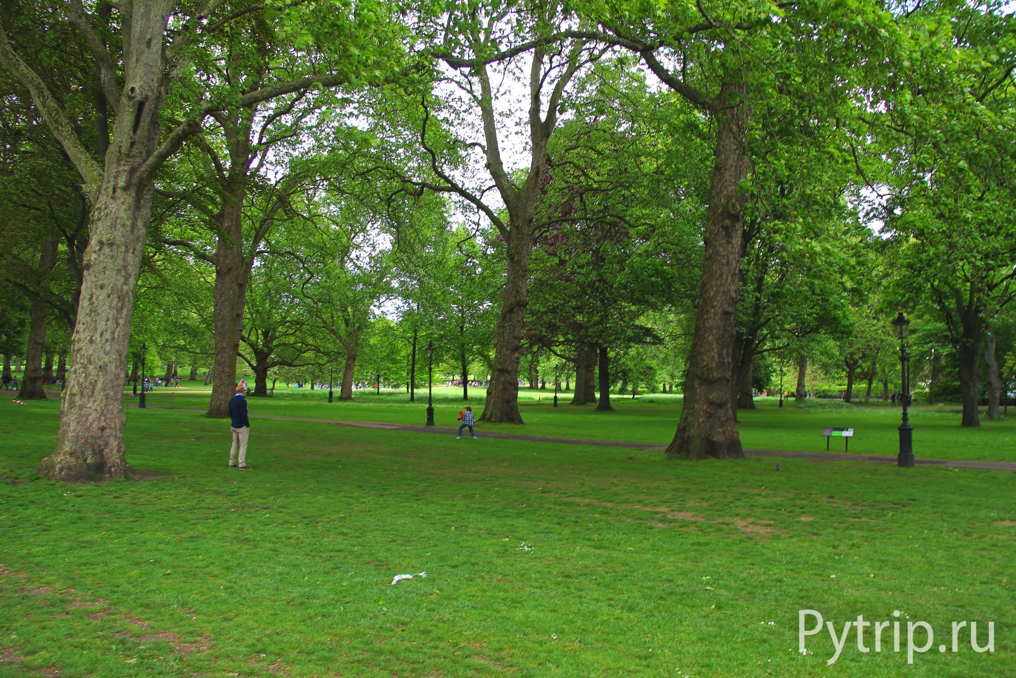 Green park грин парк. Грин парк Лондон. Зеленый парк Лондон. Грин парк в Лондоне фото. Грин парк Лондон канадский мемориал.