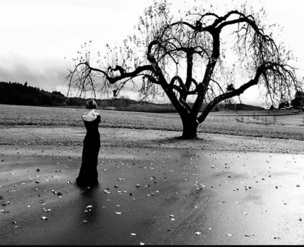 Белое несчастье. Боль одиночество пустота. Грустное дерево. Одиночество расставание.