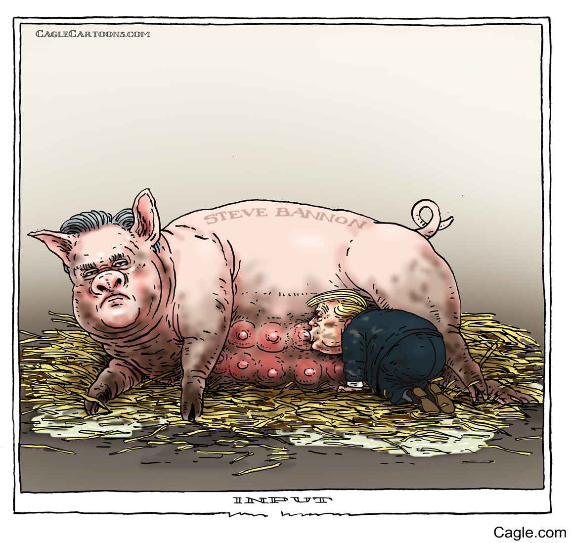 Свинья карикатура. Свиноматка карикатура.