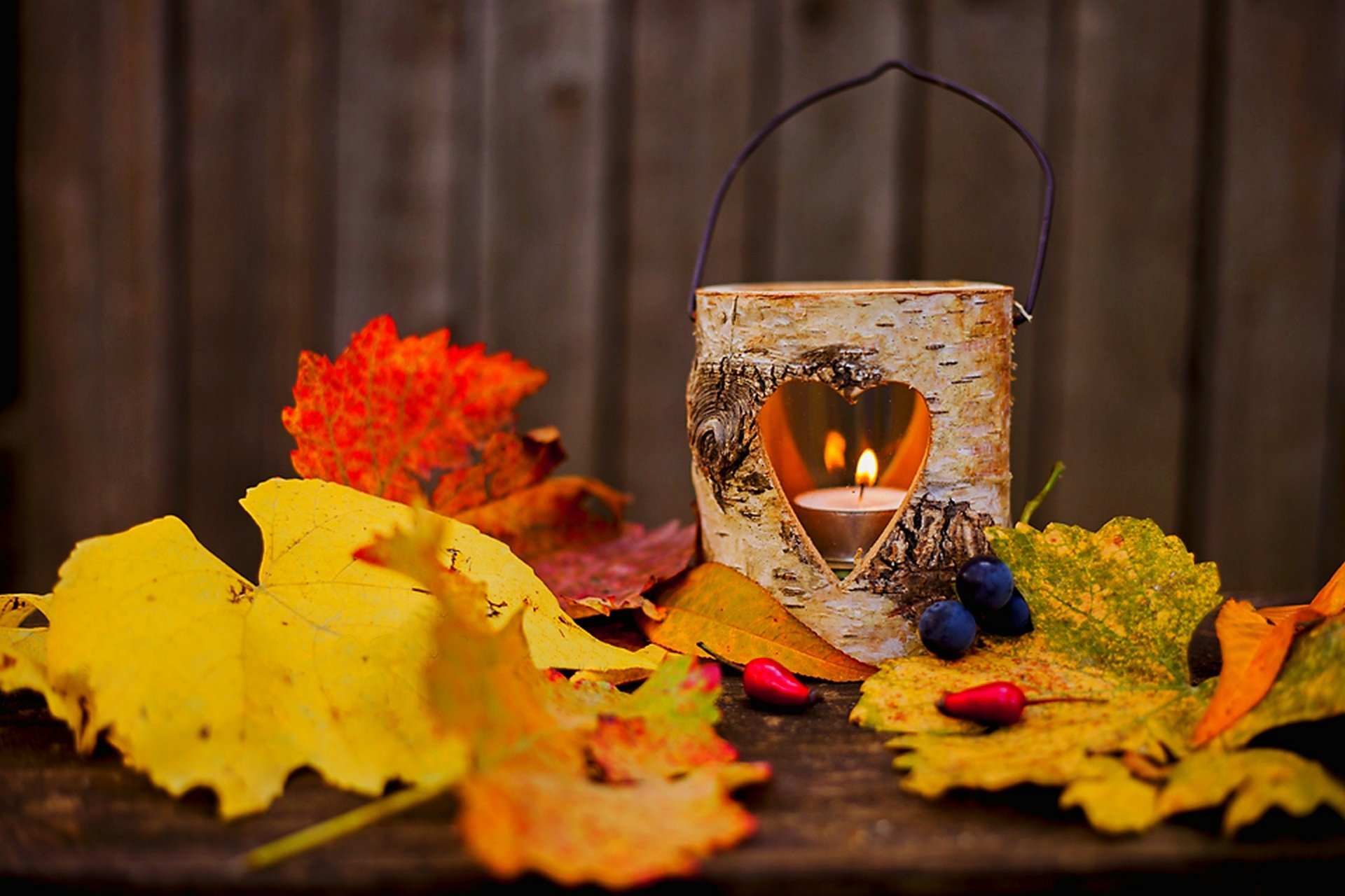 Красивая осень время. Осень любовь. Красивая теплая осень. Романтичная осень. Осенняя романтика.