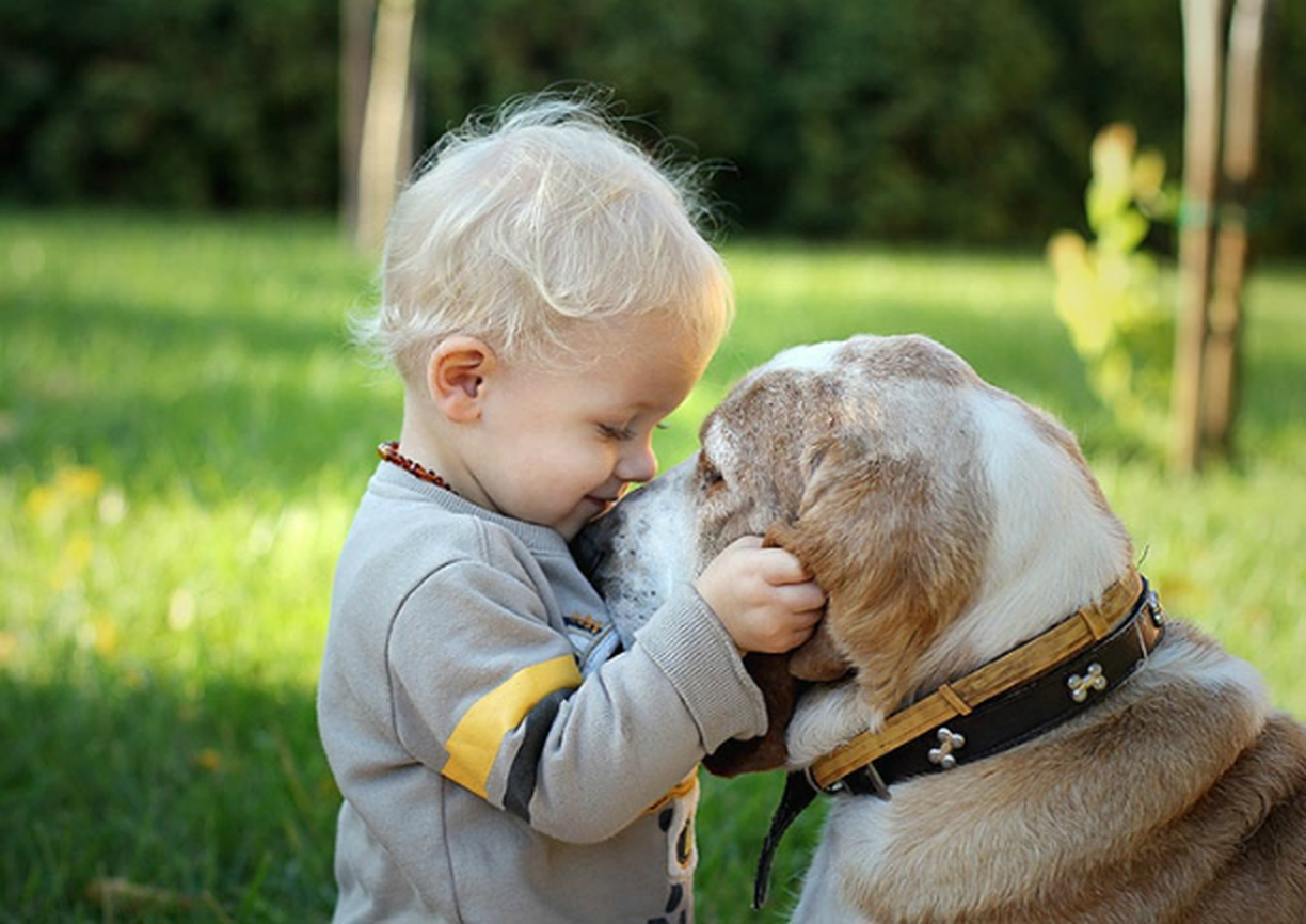 Бескорыстно добрый. Для детей. Животные. Дети и животные Дружба. Собака для детей. Ребенок обнимает собаку.