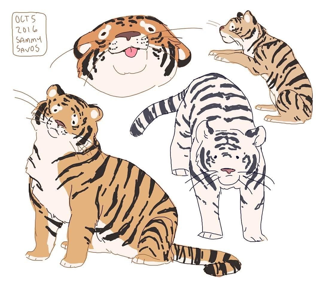 Тигр спереди референс