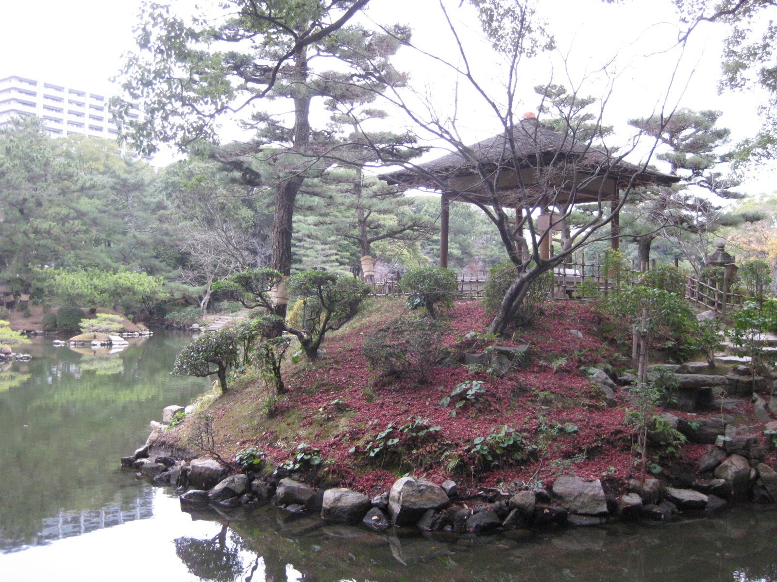 Японское находка. Японский сад Эниси. Японский сад Эниси в Находке. Японский сад Кадзуко Аоки. Парк Энси находка.