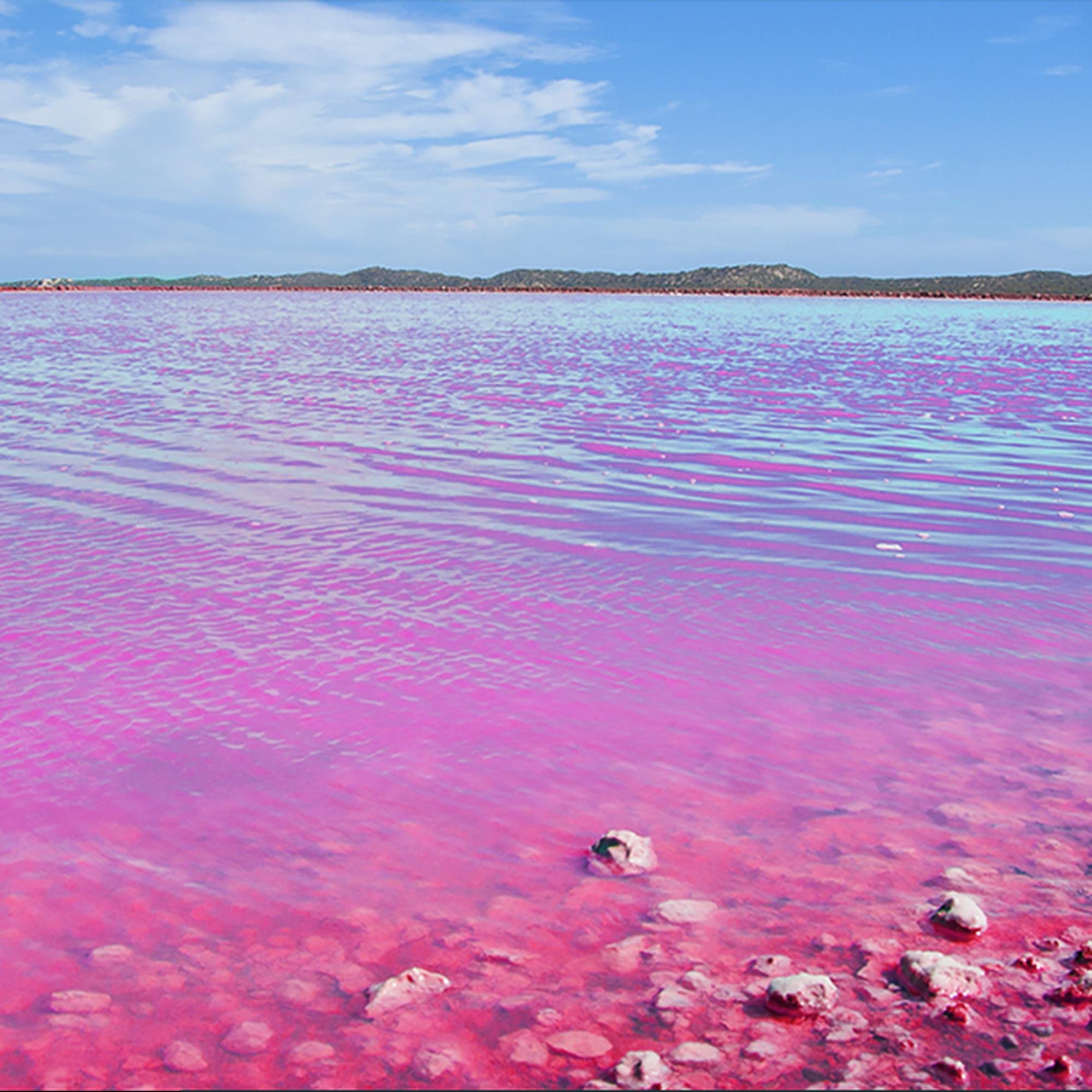 Розовое озеро в Австралии