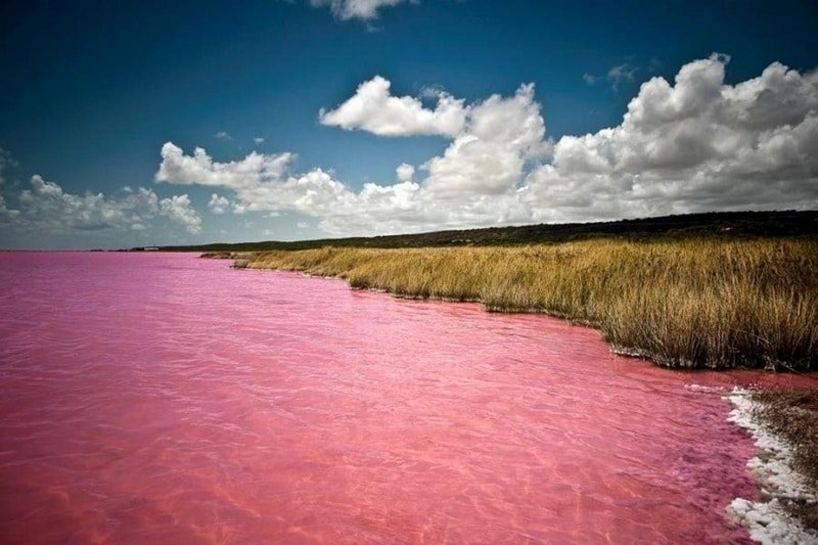 Водоем который окрашивается в нежно розовый цвет. Озеро Ретба Сенегал. Бурлинское озеро Алтайский край. Озеро Бурсоль. Озеро Ретба Крым.