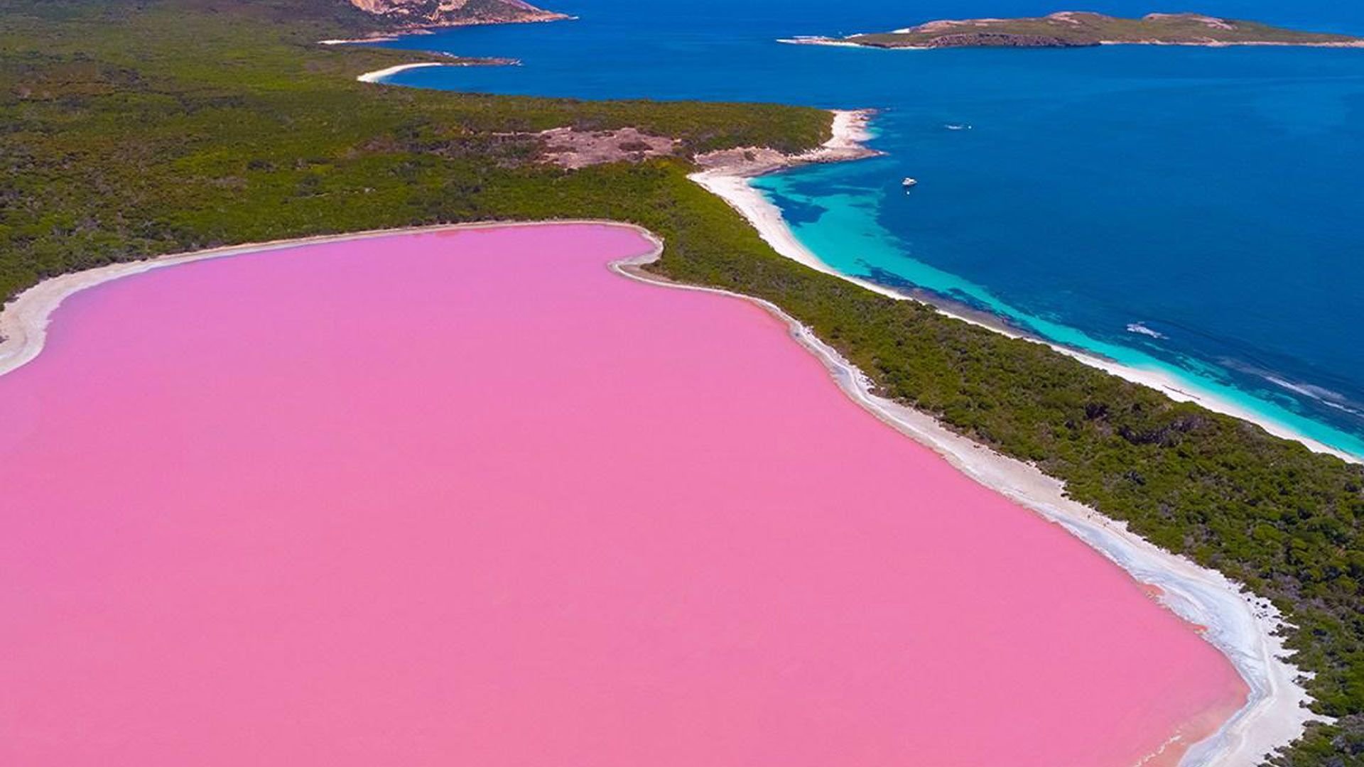 Озеро в австралии 3. Озеро Хиллер. Озеро Хиллиер, Австралия. Розовое озеро Хиллер Австралия. Озеро Хиллер (остров Миддл).