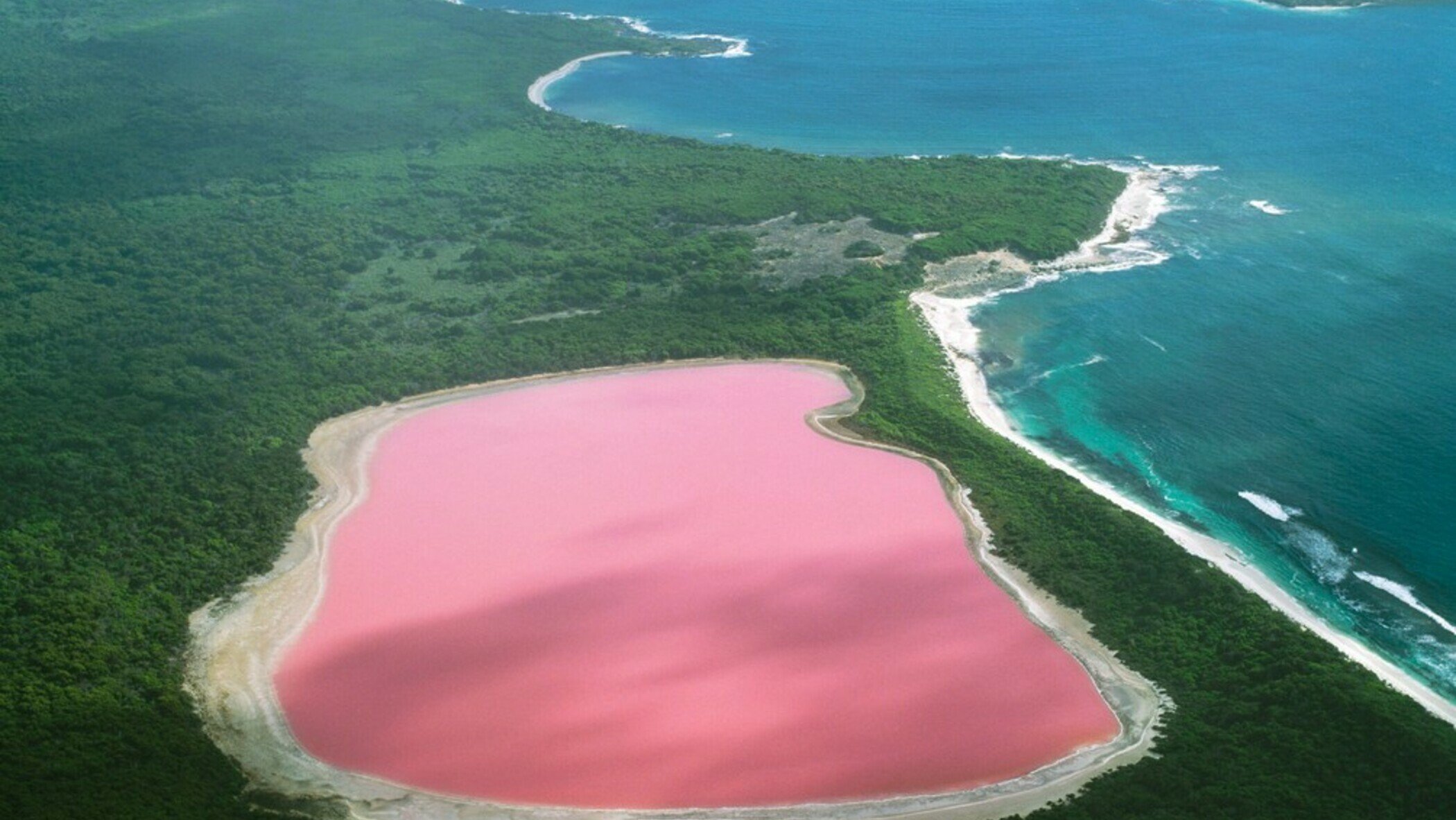 Существует ли место на земле. Озеро Ретба Сенегал. Озеро Хиллер. Озеро Хиллер остров Миддл Австралия. Розовое озеро Хиллер Австралия.