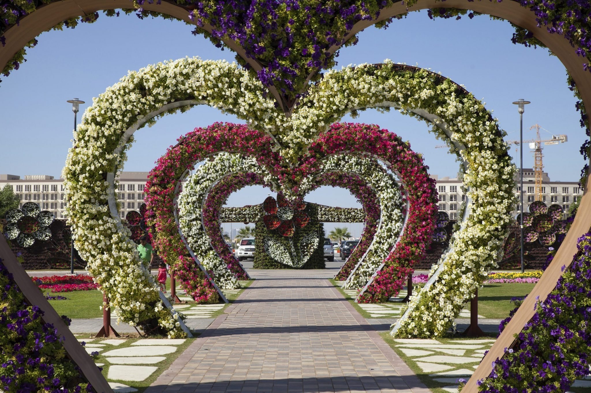Как назвать алею. Парк Миракл Гарден Дубай. Миракл Гарден парк цветов Дубай. Dubai Miracle Garden рекорд Гиннесса. Сад чудес (Miracle Garden).