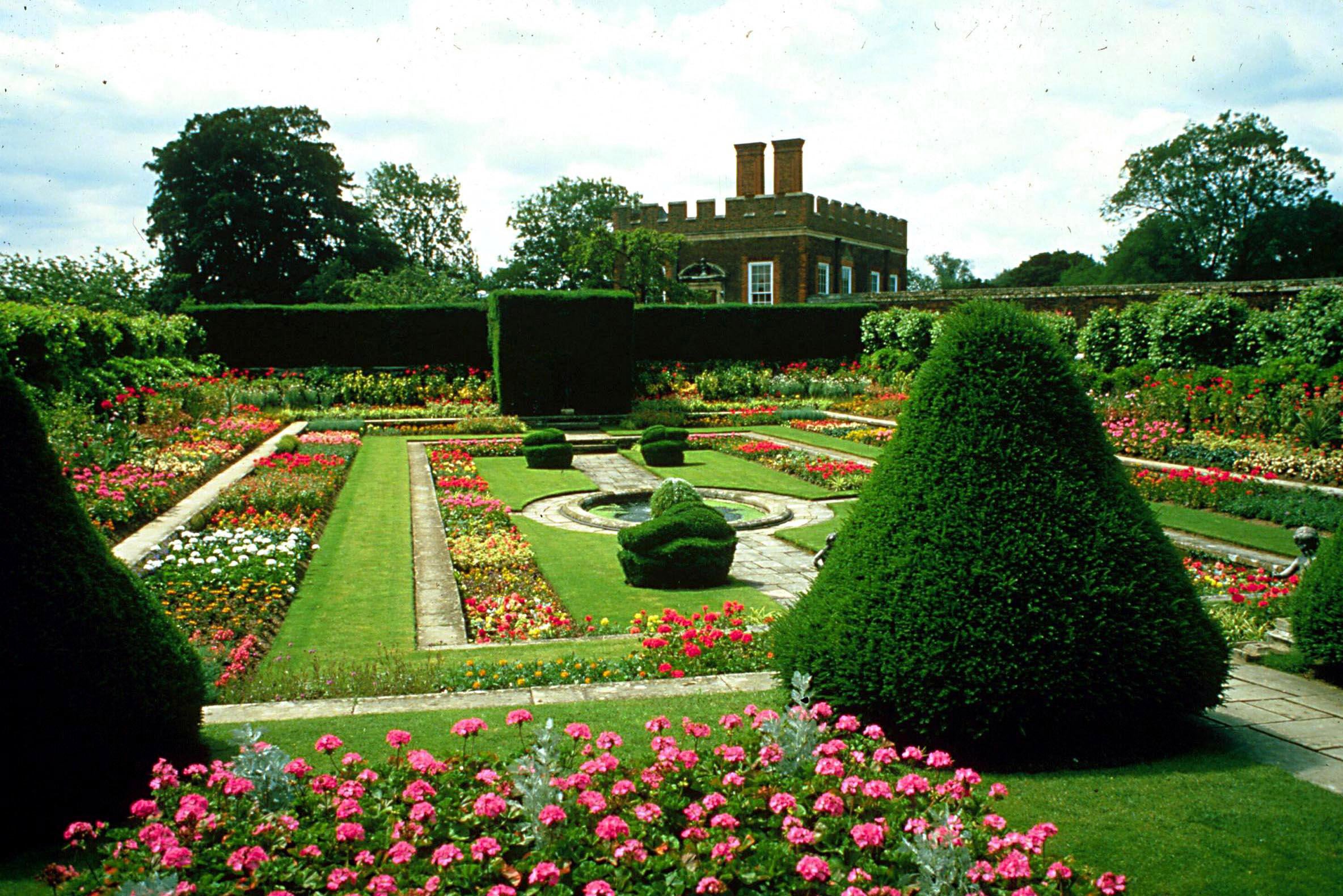 В парке при музее решили разбить. Сады дворца Хэмптон корт в Англии. Сад дворца Хэмптон-корт. Хэмптон корт парки. Садово-Парковое искусство Англии. Парк Хэмптон-корт.