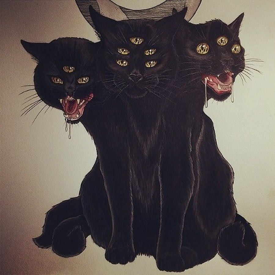 Черный кот дьявол