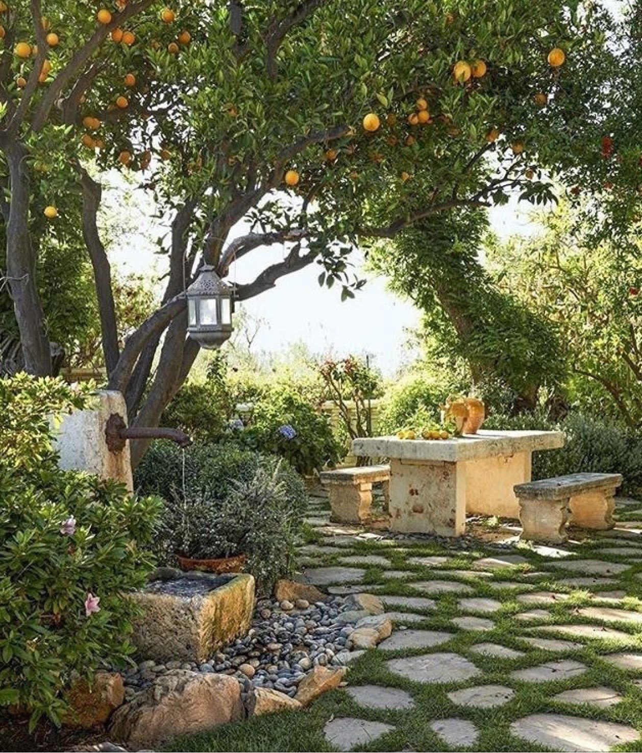 Фруктовая дачи. Плодовые деревья на участке. Средиземноморский стиль в ландшафте. Садовые деревья на даче. Красивый плодовый сад.